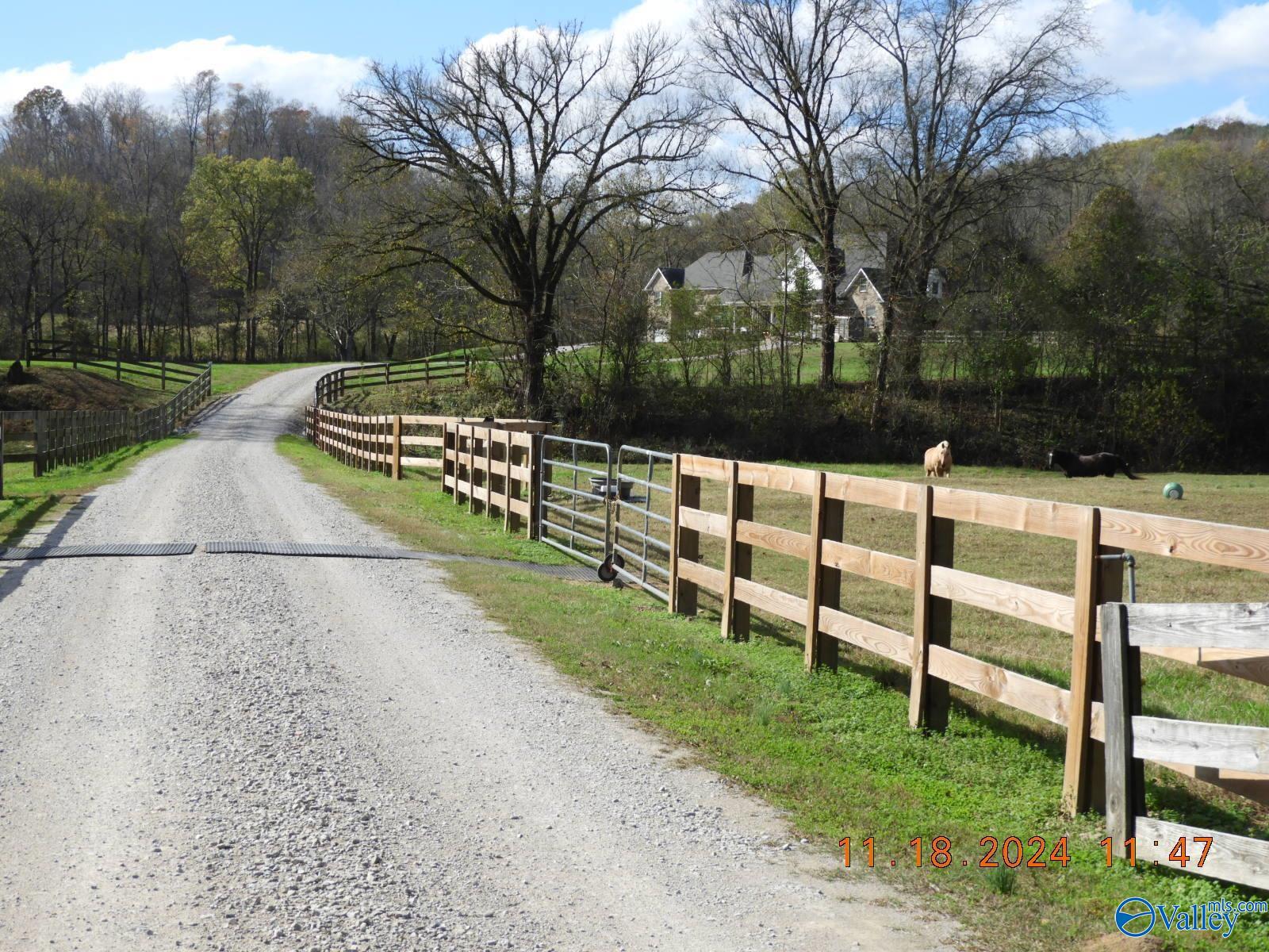790 Blooming Grove Road, Pulaski, Tennessee image 1