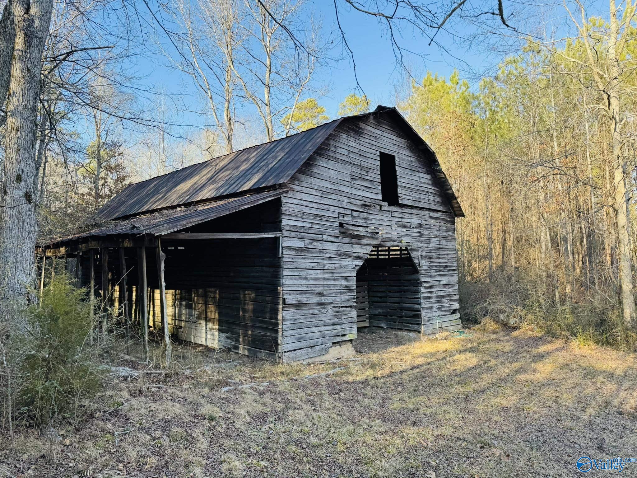 4.22 Acres South Sauty Road, Langston, Alabama image 12