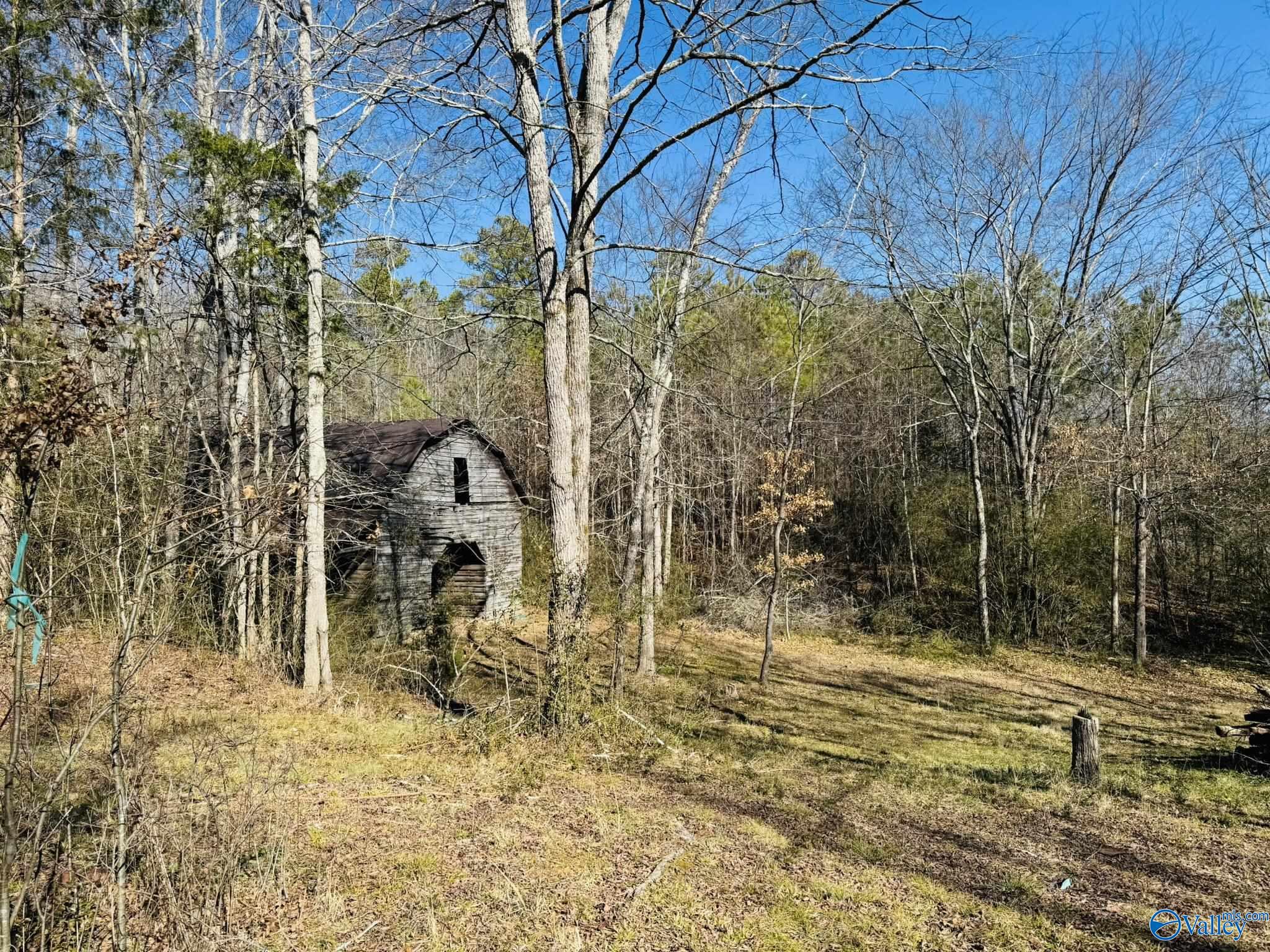 4.22 Acres South Sauty Road, Langston, Alabama image 7