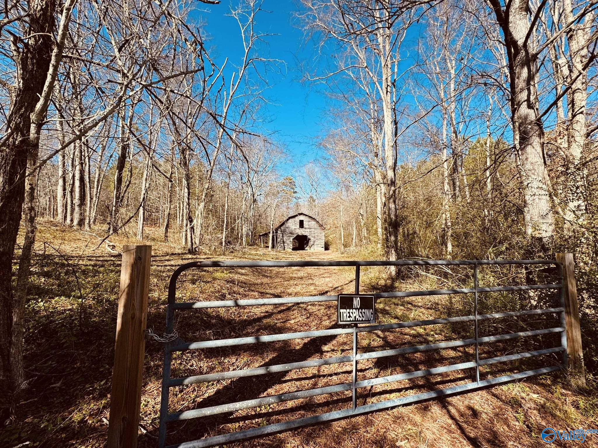 4.22 Acres South Sauty Road, Langston, Alabama image 8