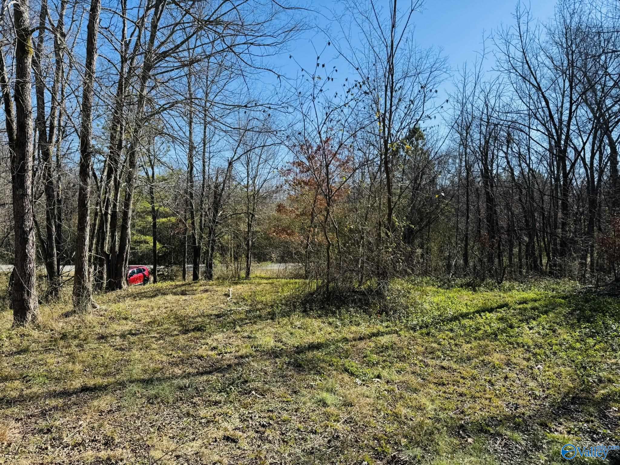 4.22 Acres South Sauty Road, Langston, Alabama image 2