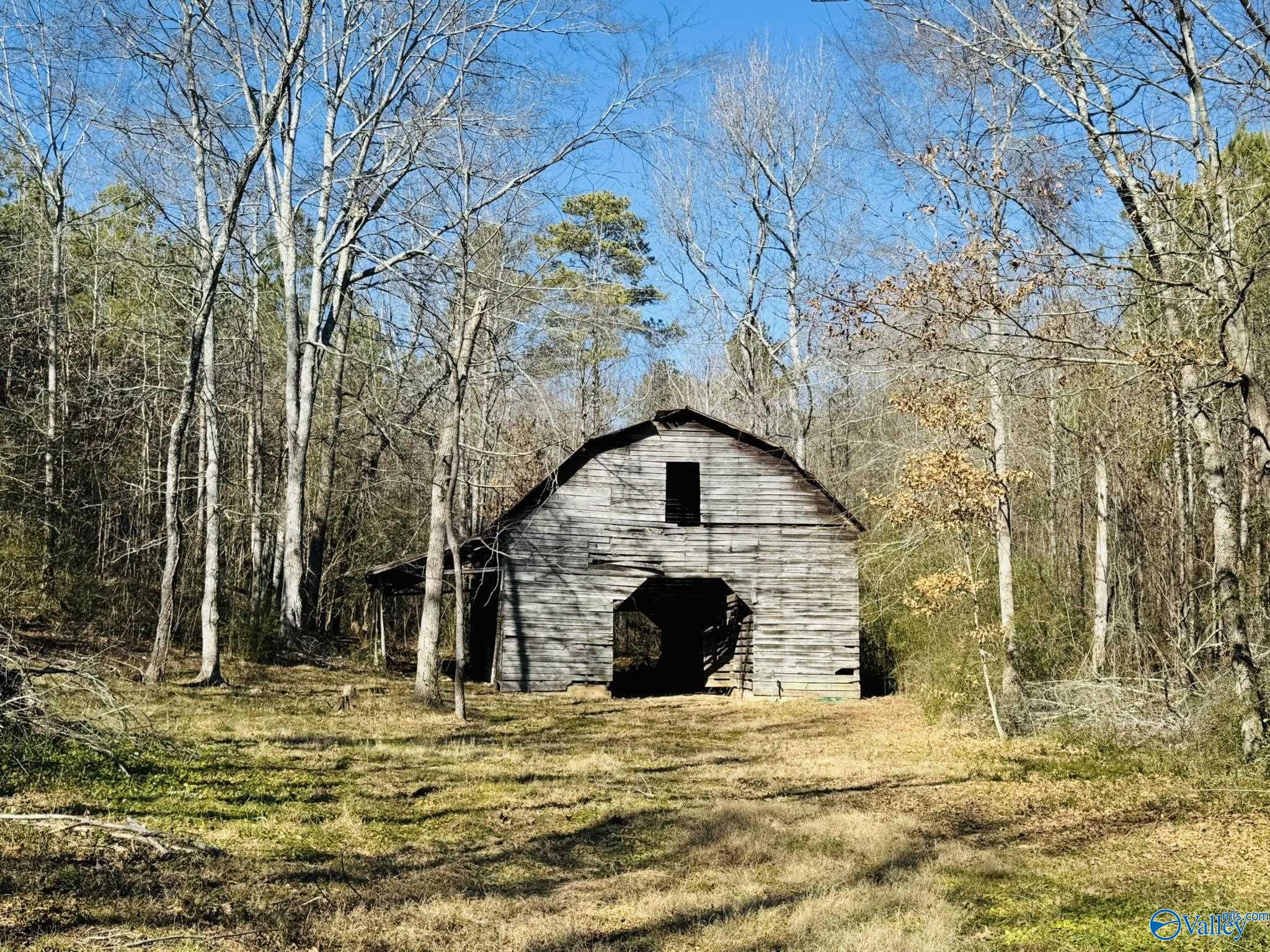 4.22 Acres South Sauty Road, Langston, Alabama image 1