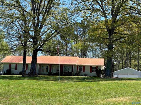 Homes For Sale - 766 Key Turney Road<br/> Falkville, AL 35622