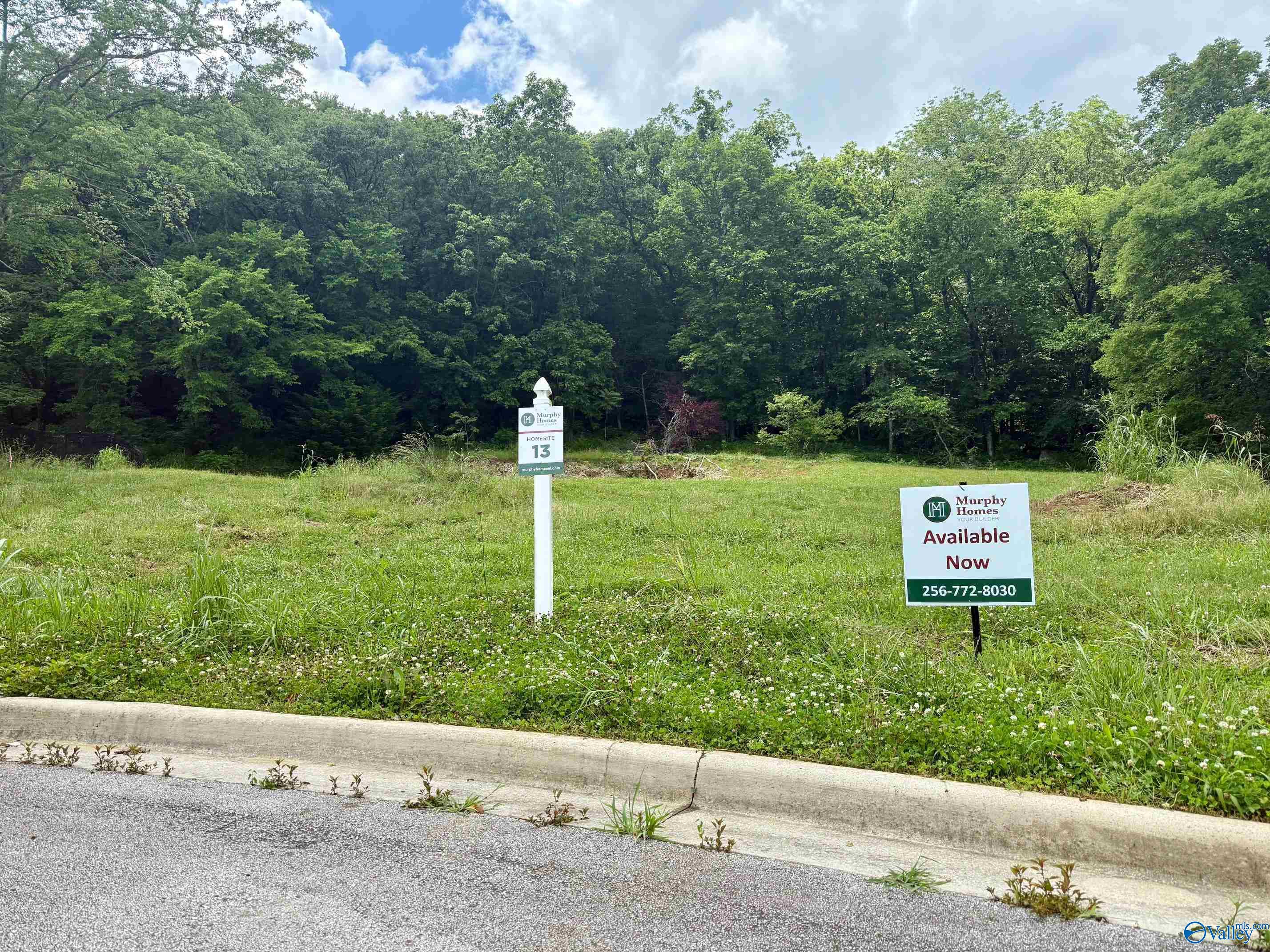 2500 Monte Sano Cove Road, Huntsville, Alabama image 1