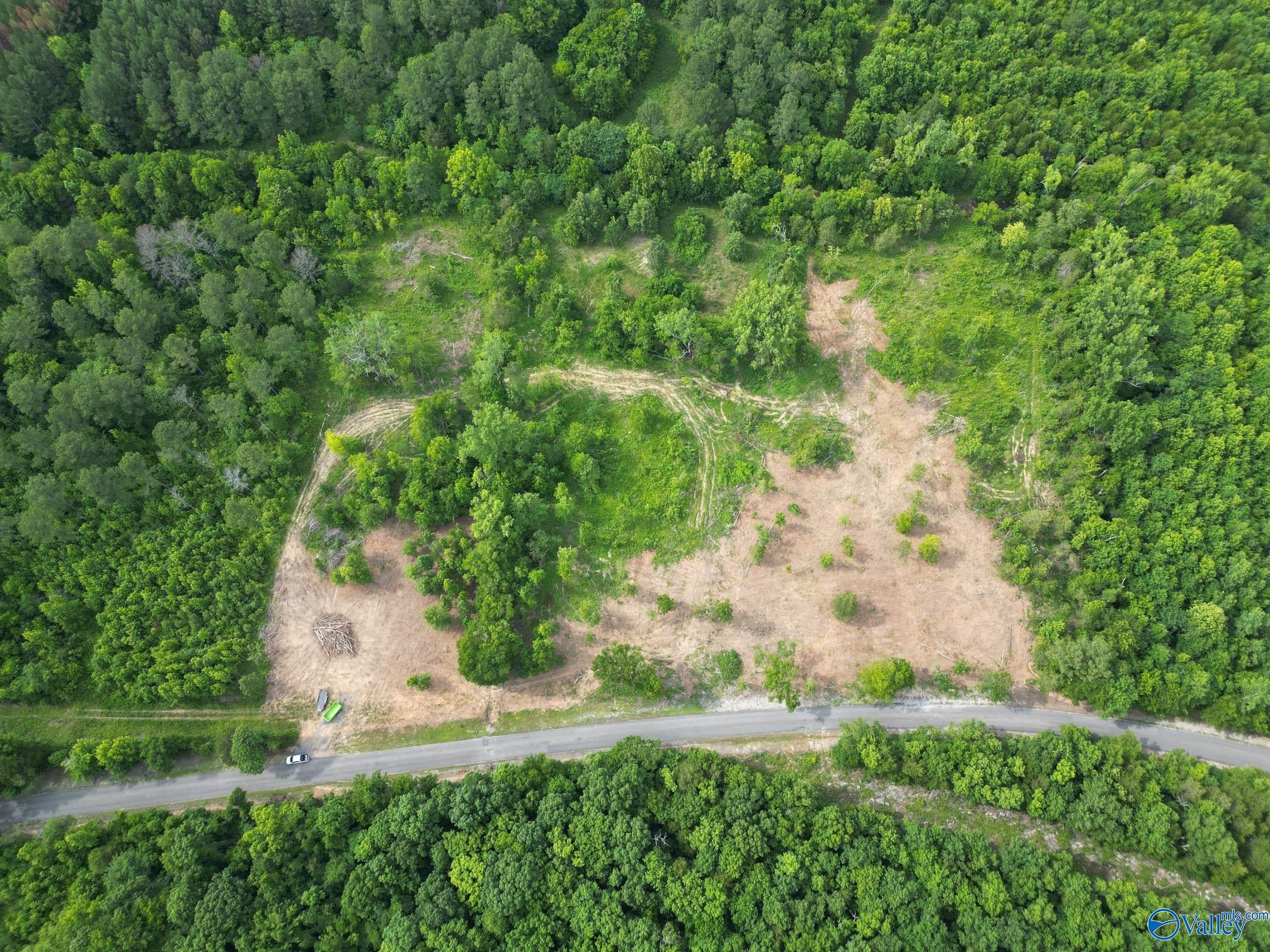 Lot #4 County Road 59, Moulton, Alabama image 7