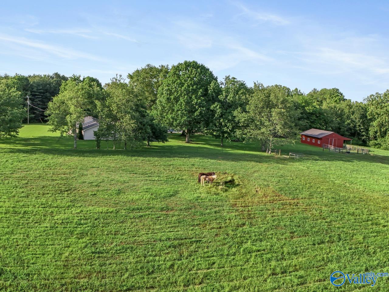 3713 Old Railroad Bed Road, Harvest, Alabama image 47