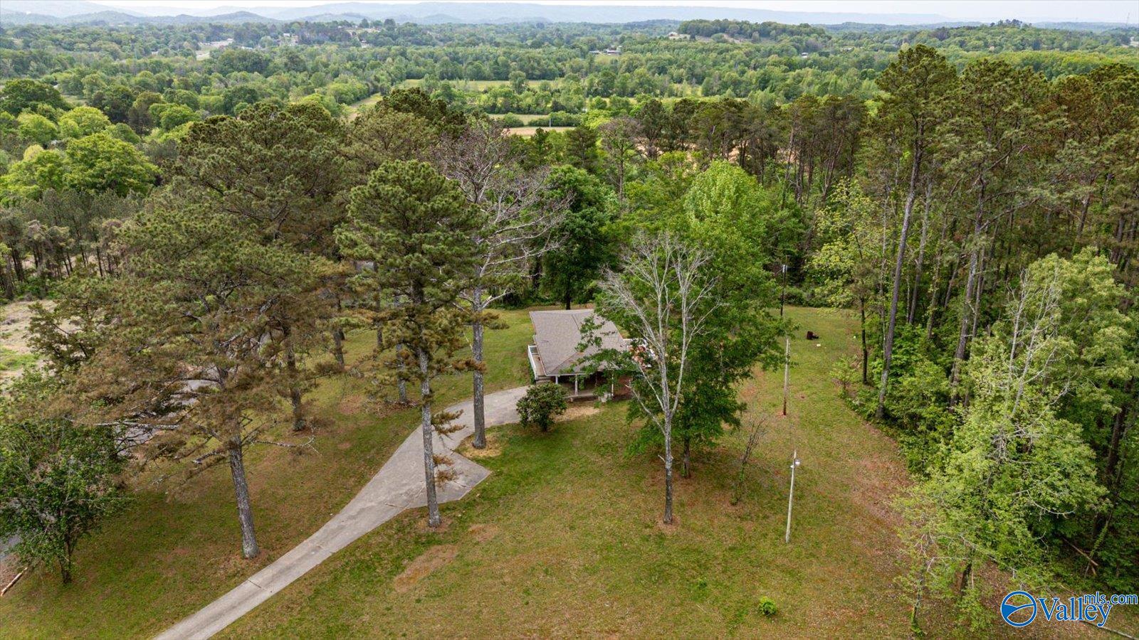 451 County Road 208, Bridgeport, Alabama image 19