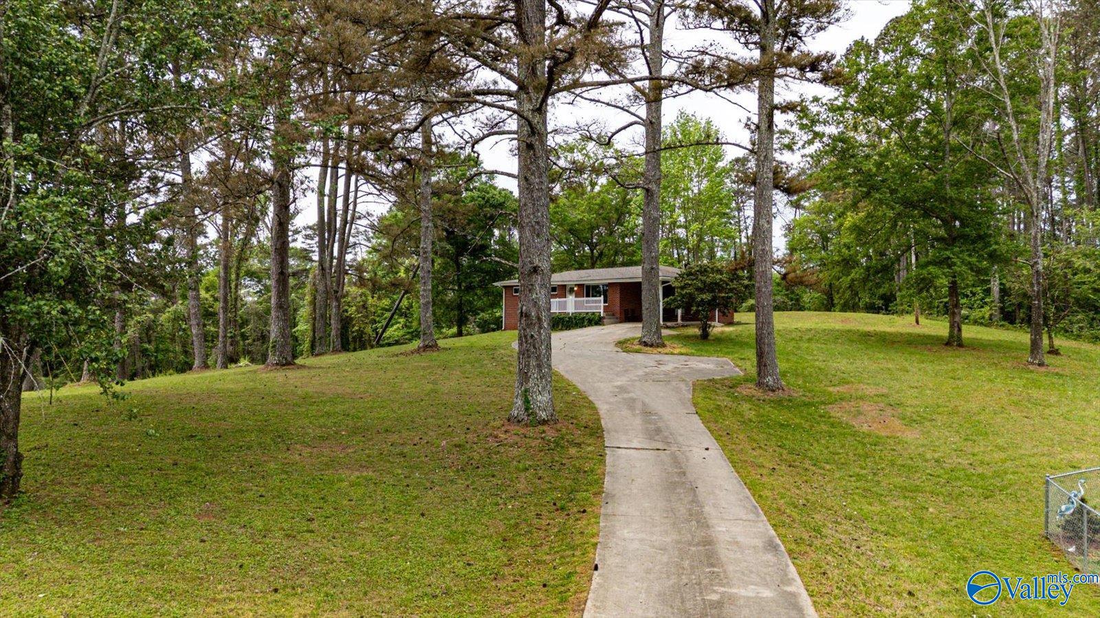 451 County Road 208, Bridgeport, Alabama image 21