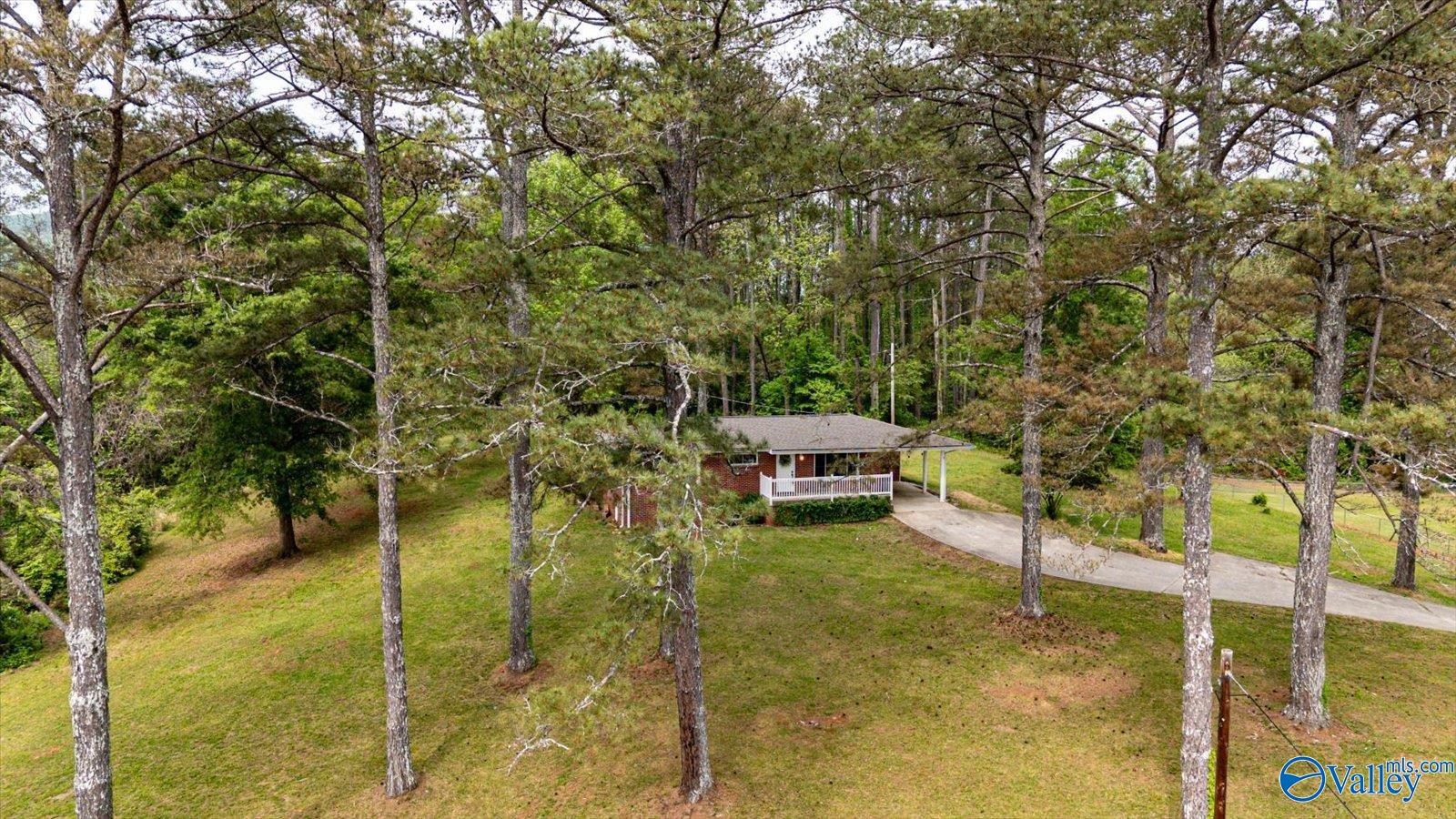 451 County Road 208, Bridgeport, Alabama image 17