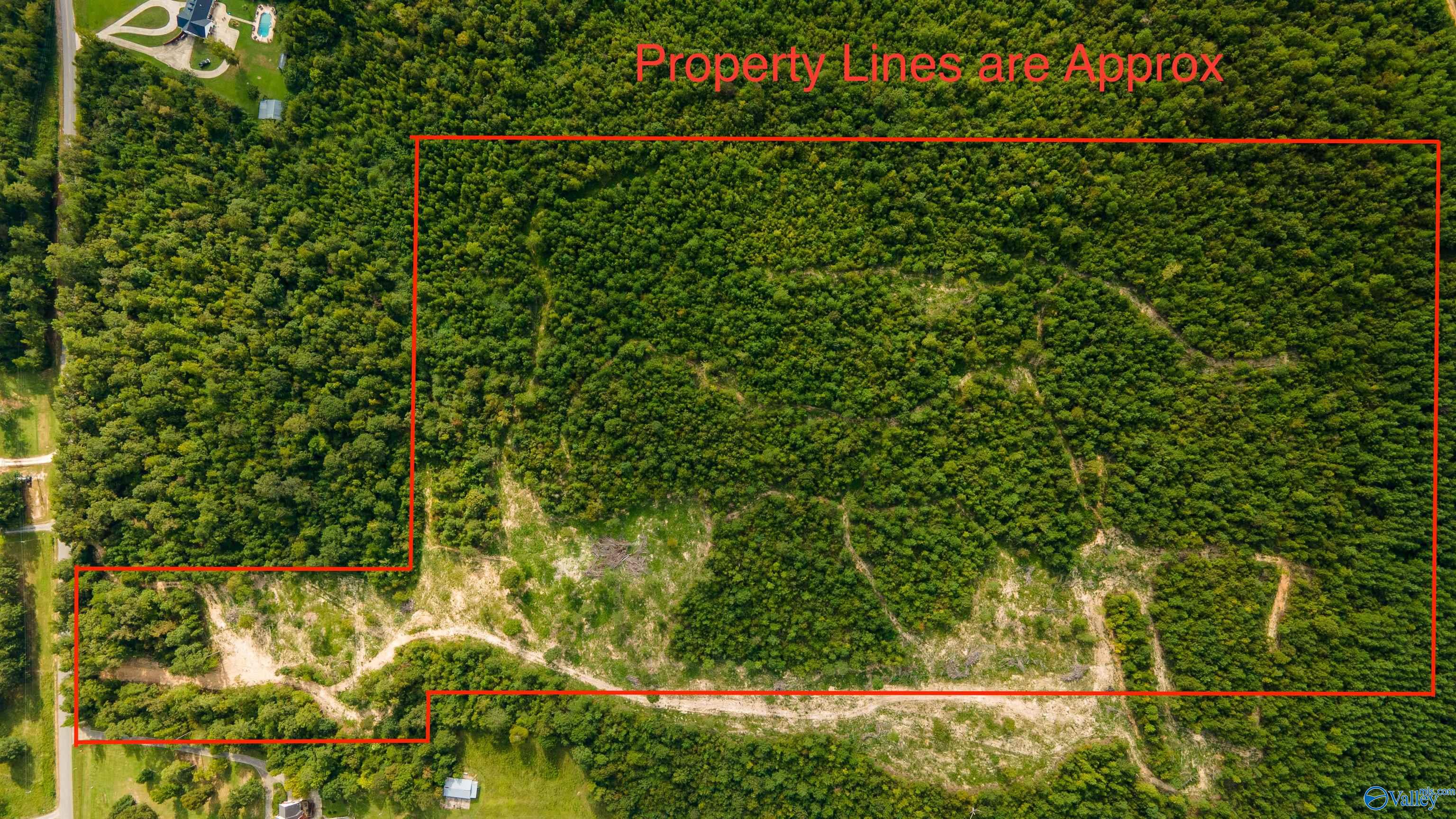 10675 29 Acres Shoal Creek Road, Ashville, Alabama image 22