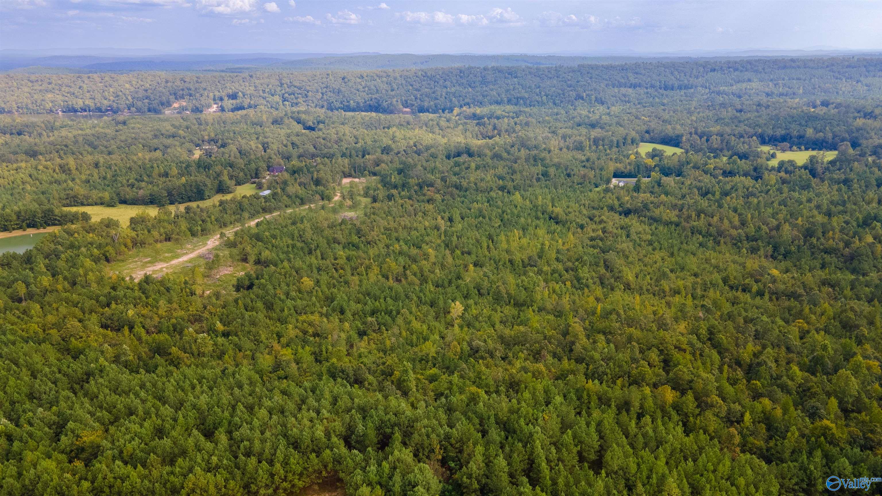 10675 29 Acres Shoal Creek Road, Ashville, Alabama image 13