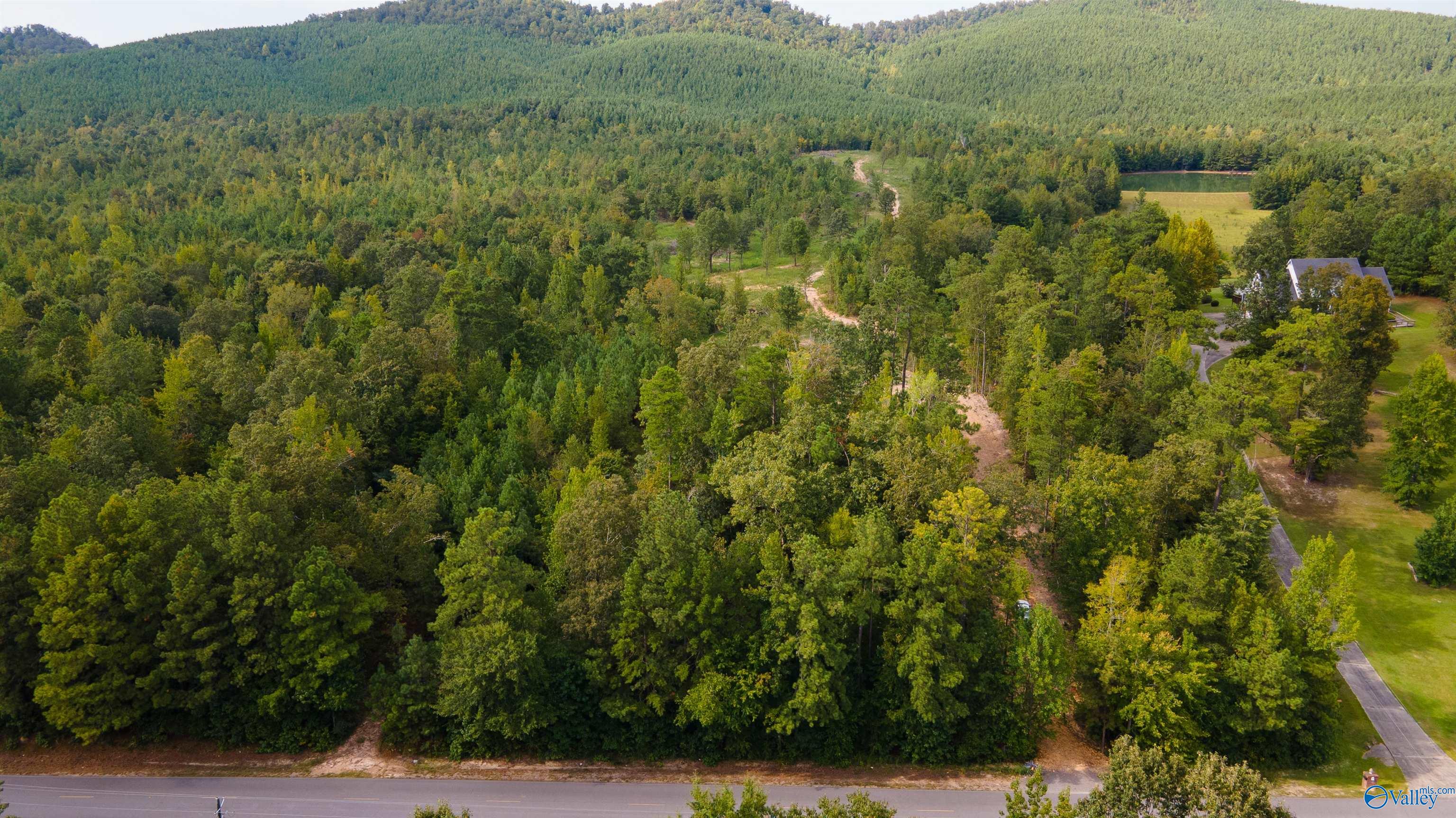 10675 29 Acres Shoal Creek Road, Ashville, Alabama image 21