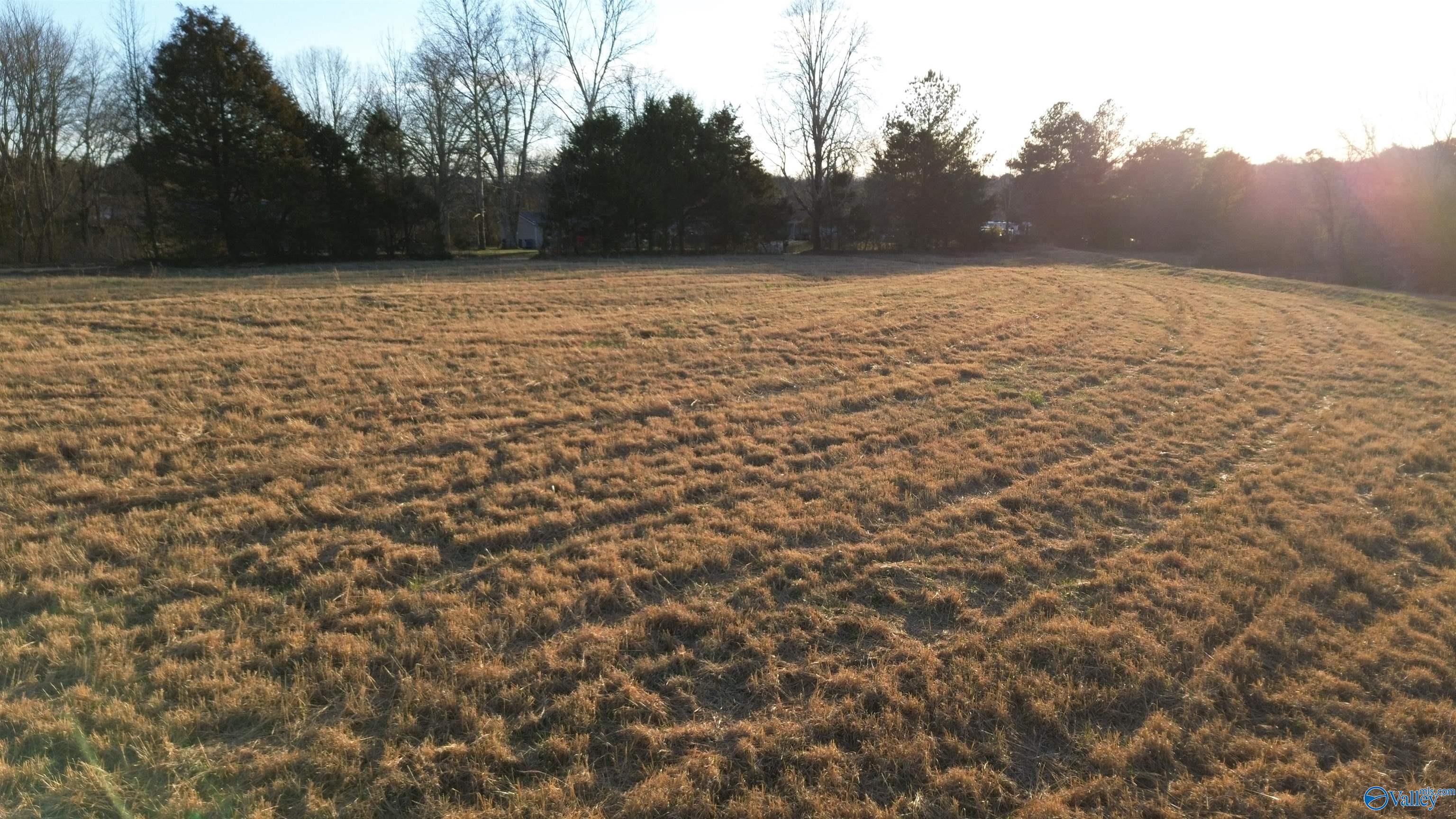 .42 Baker Mountain Road, Grant, Alabama image 7