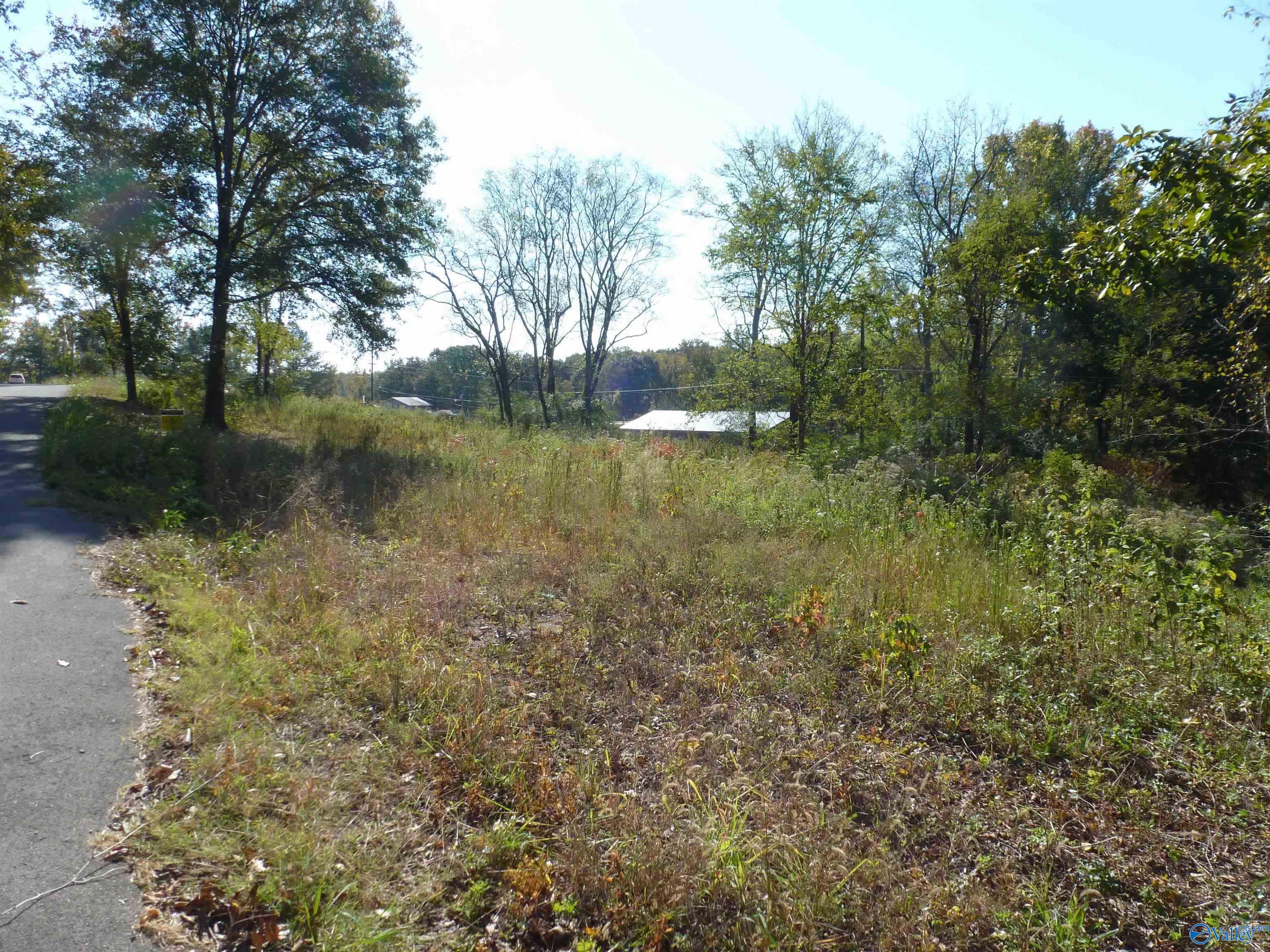 .40 Tract 1 Mcpeters Drive, Killen, Alabama image 2