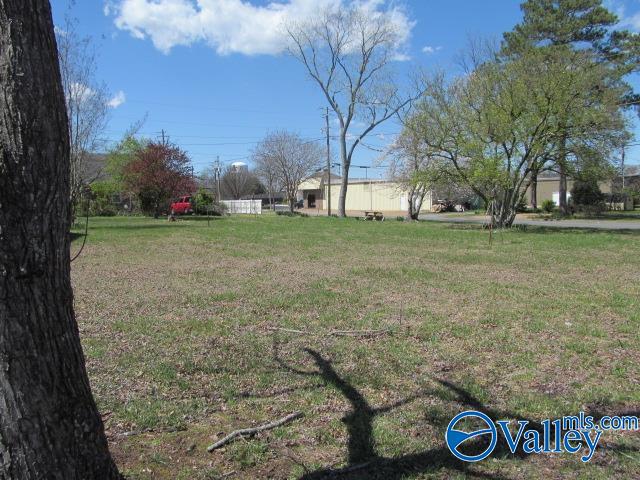 208 Glover Street, Albertville, Alabama image 6