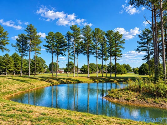 24590 CARNOUSTIE DRIVE, ATHENS, AL 35613 - Image 29ec5a783a7a47f582dc3facfb5f2878/1795002457