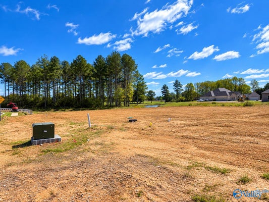 ADDRESS PRIVATE, ATHENS, AL  - Image 29ec5a783a7a47f582dc3facfb5f2878/3462972699