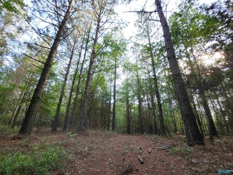 Vacant Land For Sale - 6926 County Road 29<br/> Cherokee County, Piedmont, AL 36272