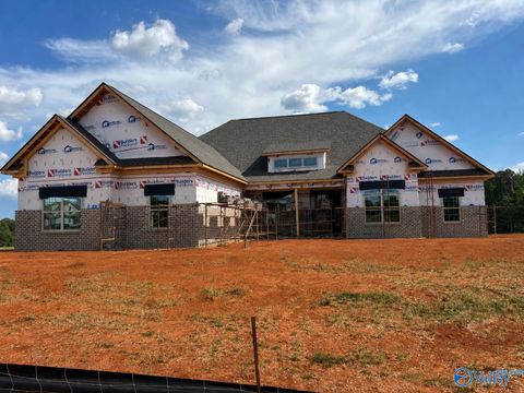Homes For Sale - 224 Ray Ridge Trail<br/> Toney, AL 35773
