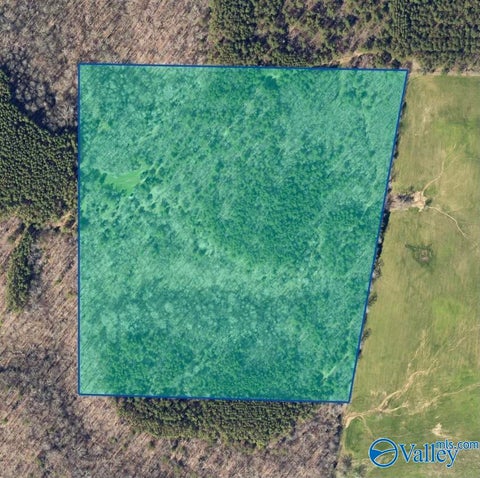 Vacant Land For Sale - 36 ACRES County Road 560<br/> Lawrence County, Moulton, AL 35650