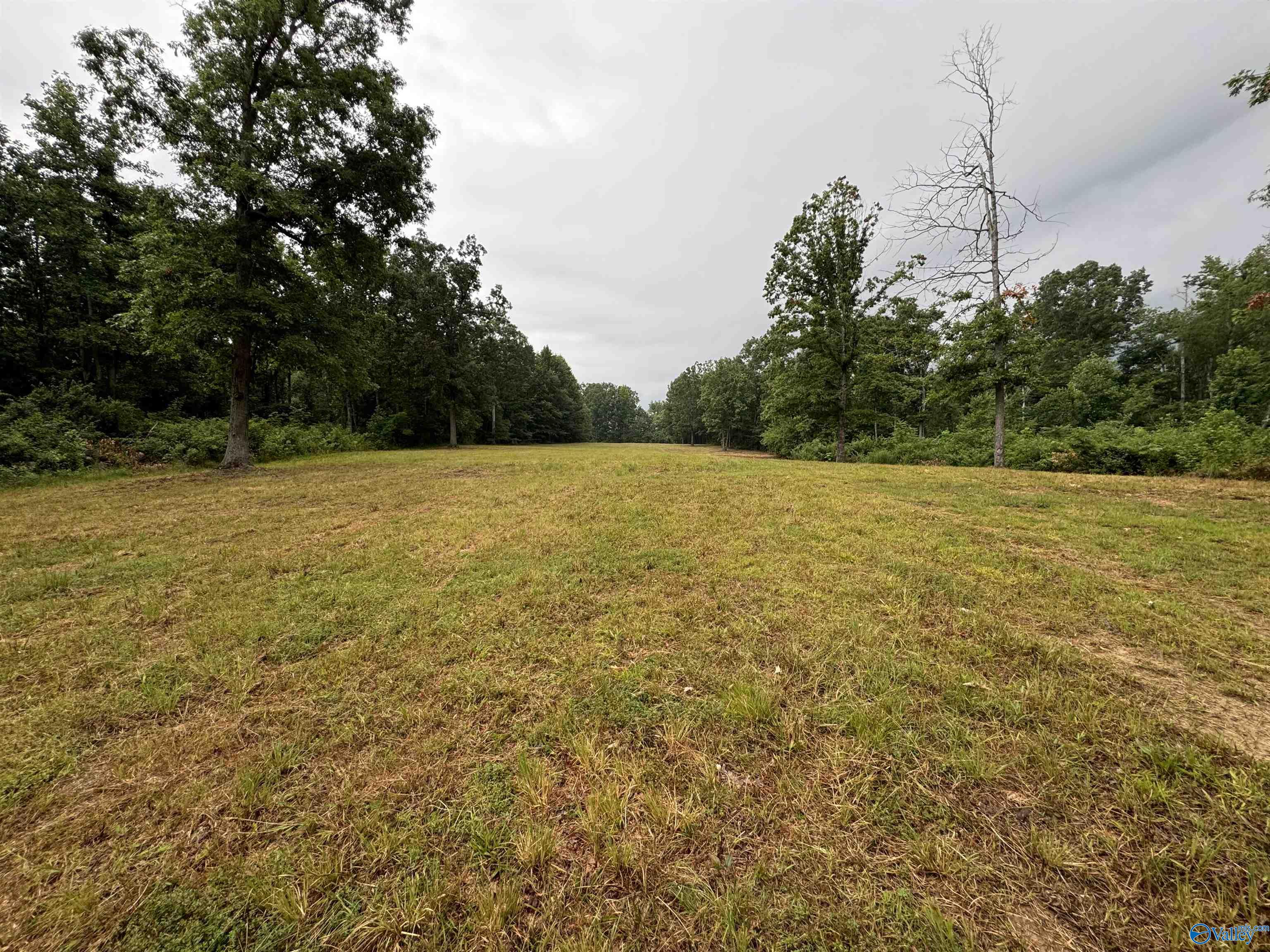 18 Acres Hwy 79, Scottsboro, Alabama image 1