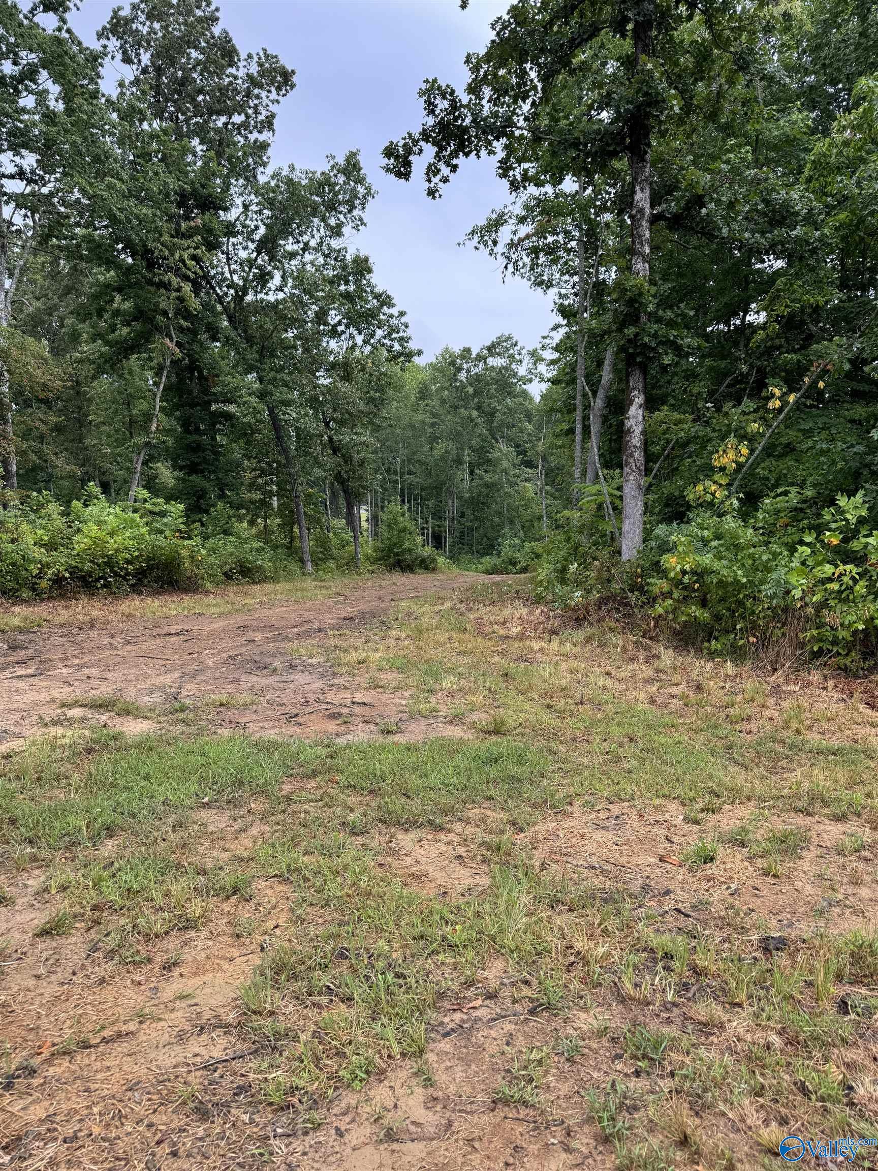 18 Acres Hwy 79, Scottsboro, Alabama image 9