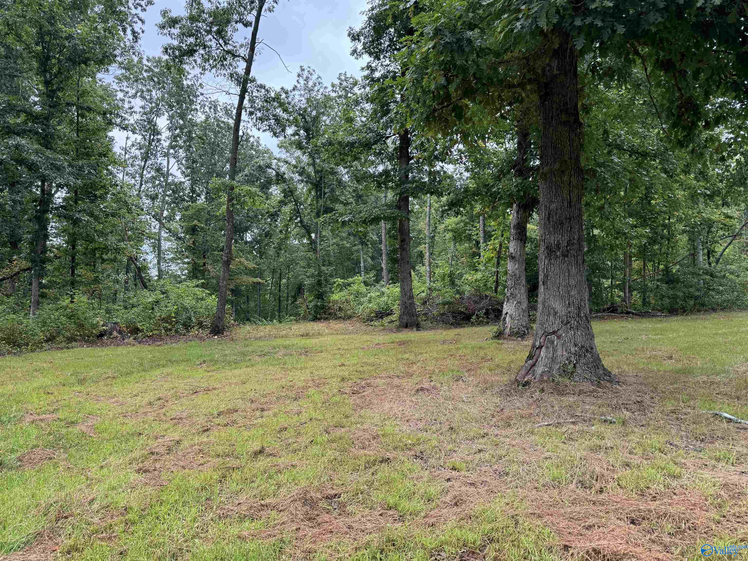 18 Acres Hwy 79, Scottsboro, Alabama image 3