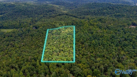Vacant Land For Sale - 15 ACRES Fish Trap Road<br/> Marshall County, Grant, AL 35747