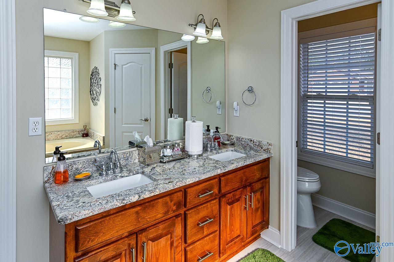 145 Autumn Branch Drive, Madison, Alabama image 33