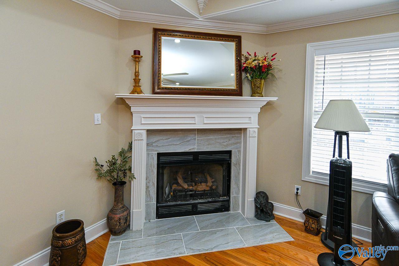 145 Autumn Branch Drive, Madison, Alabama image 14