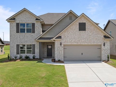 Homes For Sale - 160 Saddle Street<br/> New Market, AL 35761