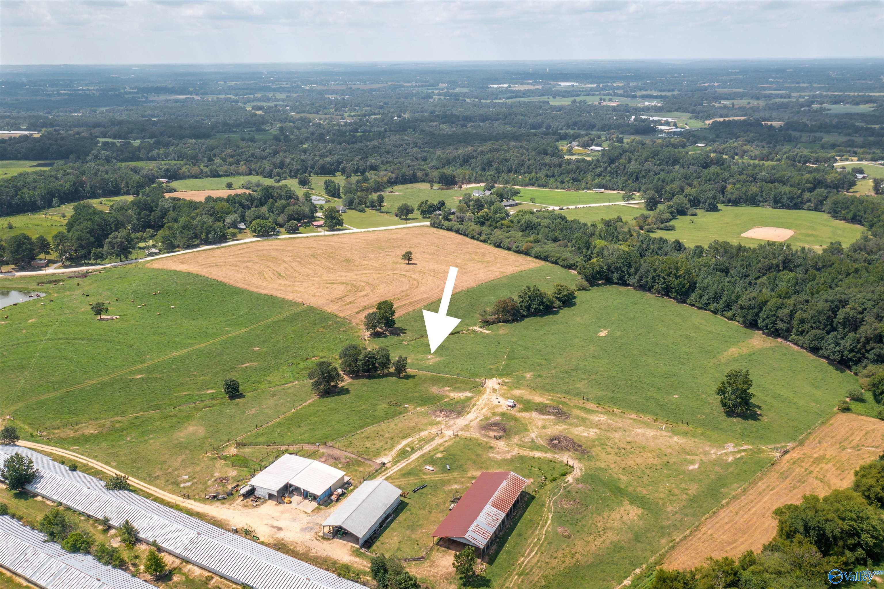 64 Acres +/- Bluff Road, Boaz, Alabama image 2