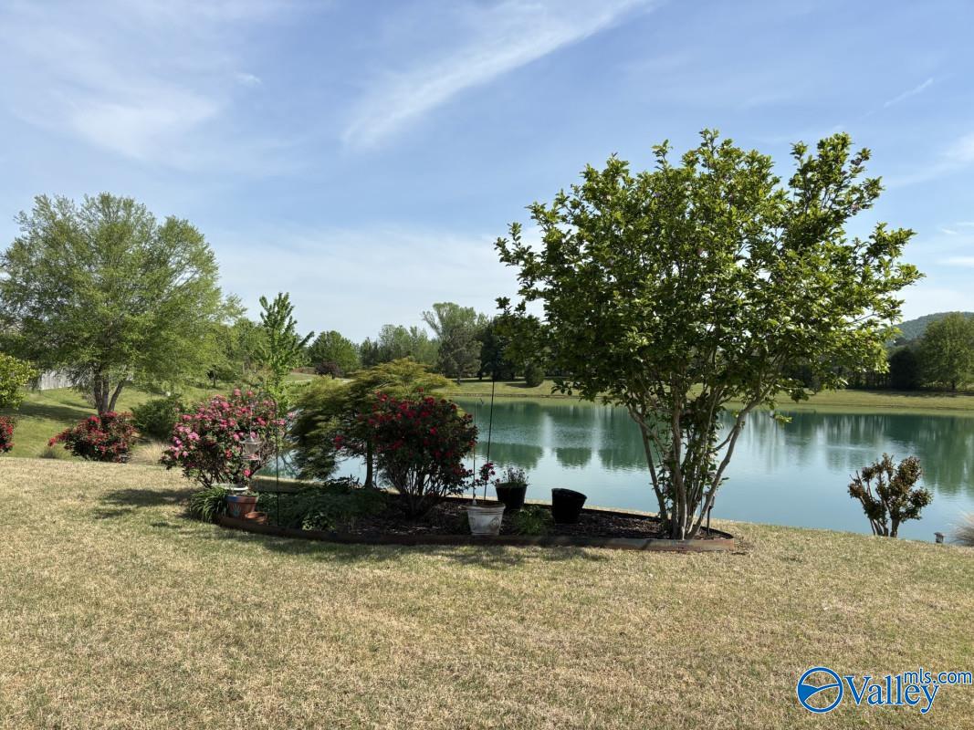 8528 Sedgebrook Drive, Owens Cross Roads, Alabama image 20