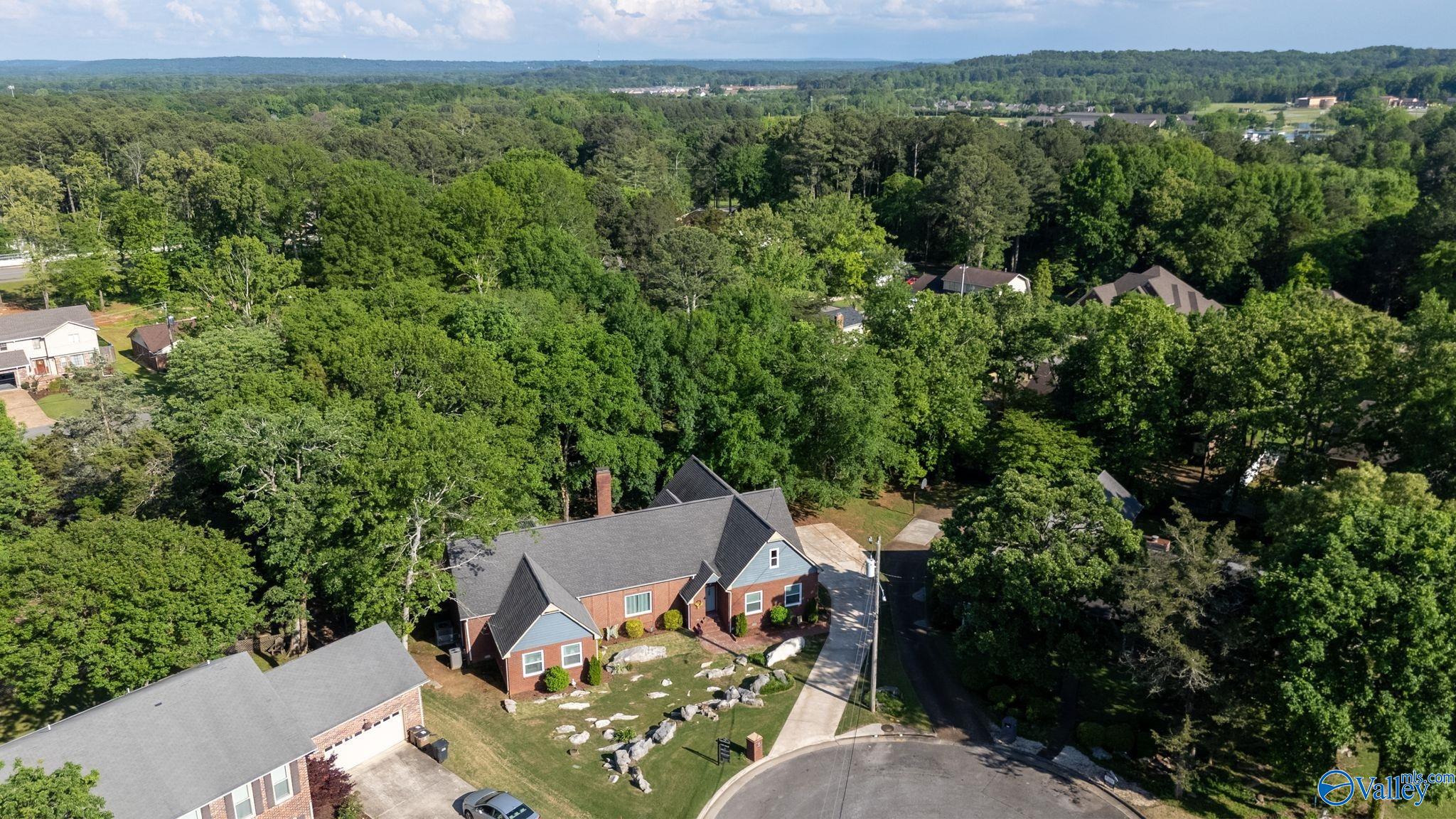 3412 Stillwood Drive, Decatur, Alabama image 49