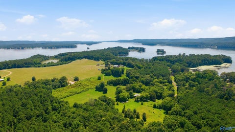 Vacant Land For Sale - 370 John Cabaniss Road<br/> Jackson County, Langston, AL 35755