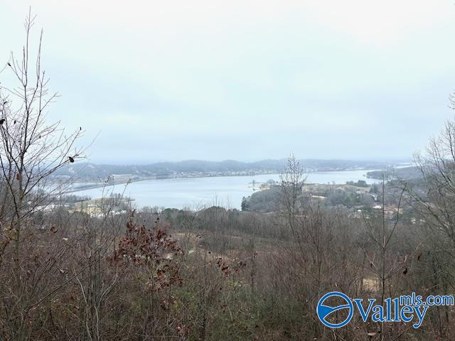 3919 Pecan Drive, Guntersville, Alabama image 4