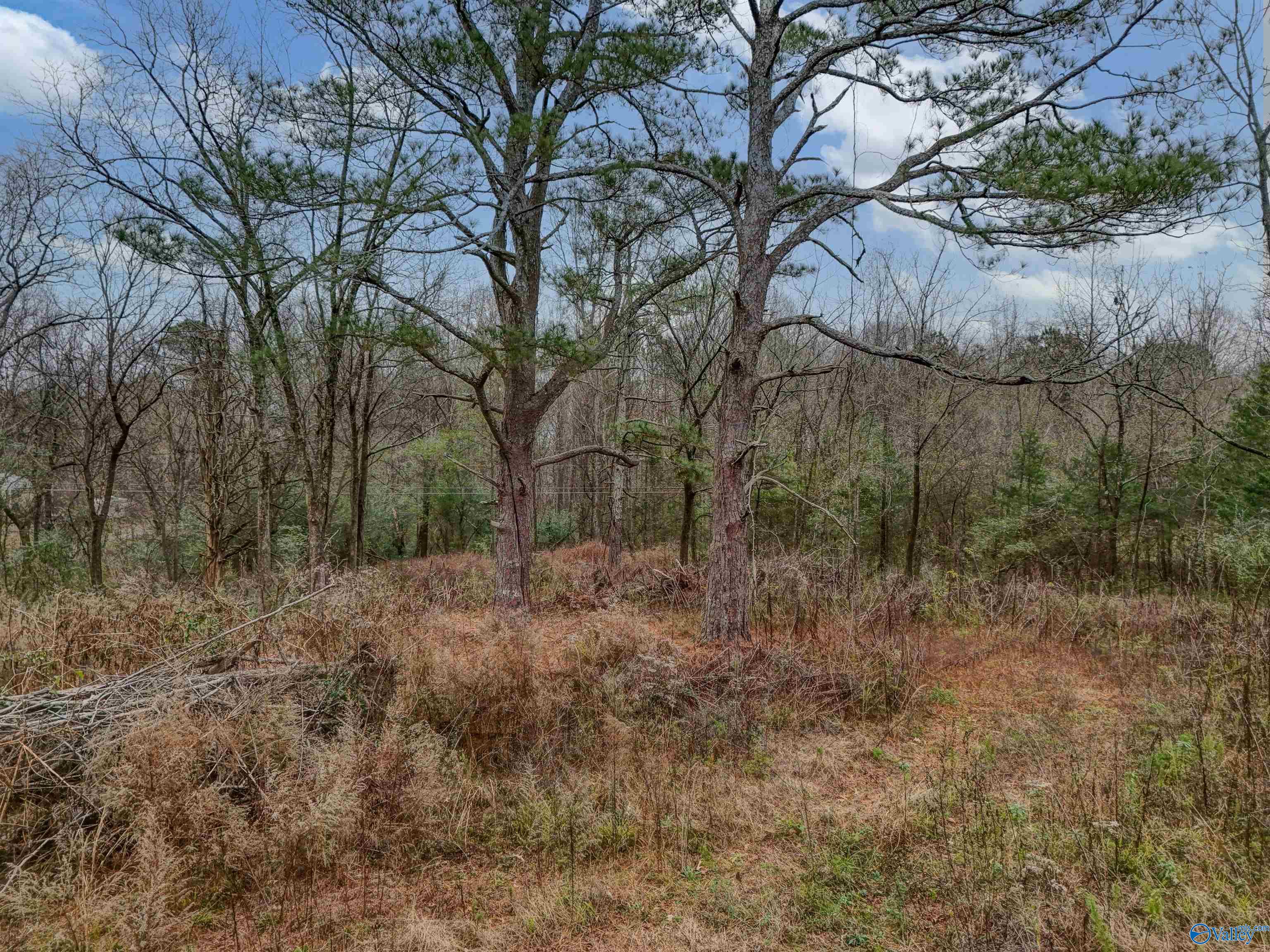 5.5 County Road 1224