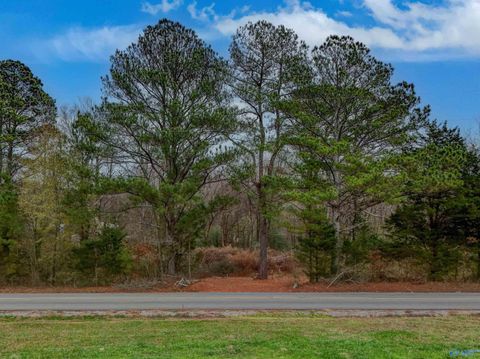 Homes For Sale - 5.5 County Road 1224<br/> Vinemont, AL 35179