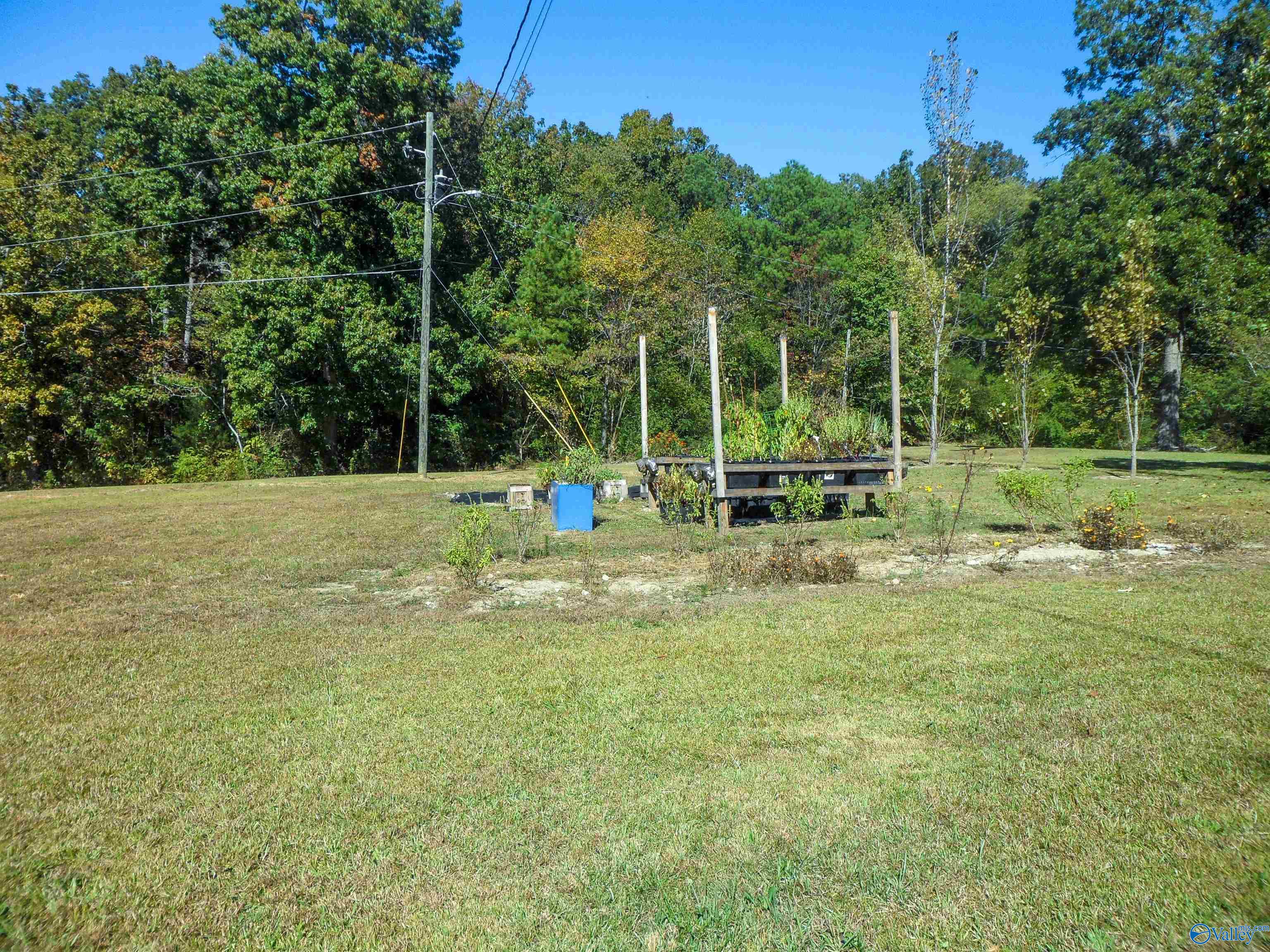 4729 Pitts Avenue, Anniston, Alabama image 27