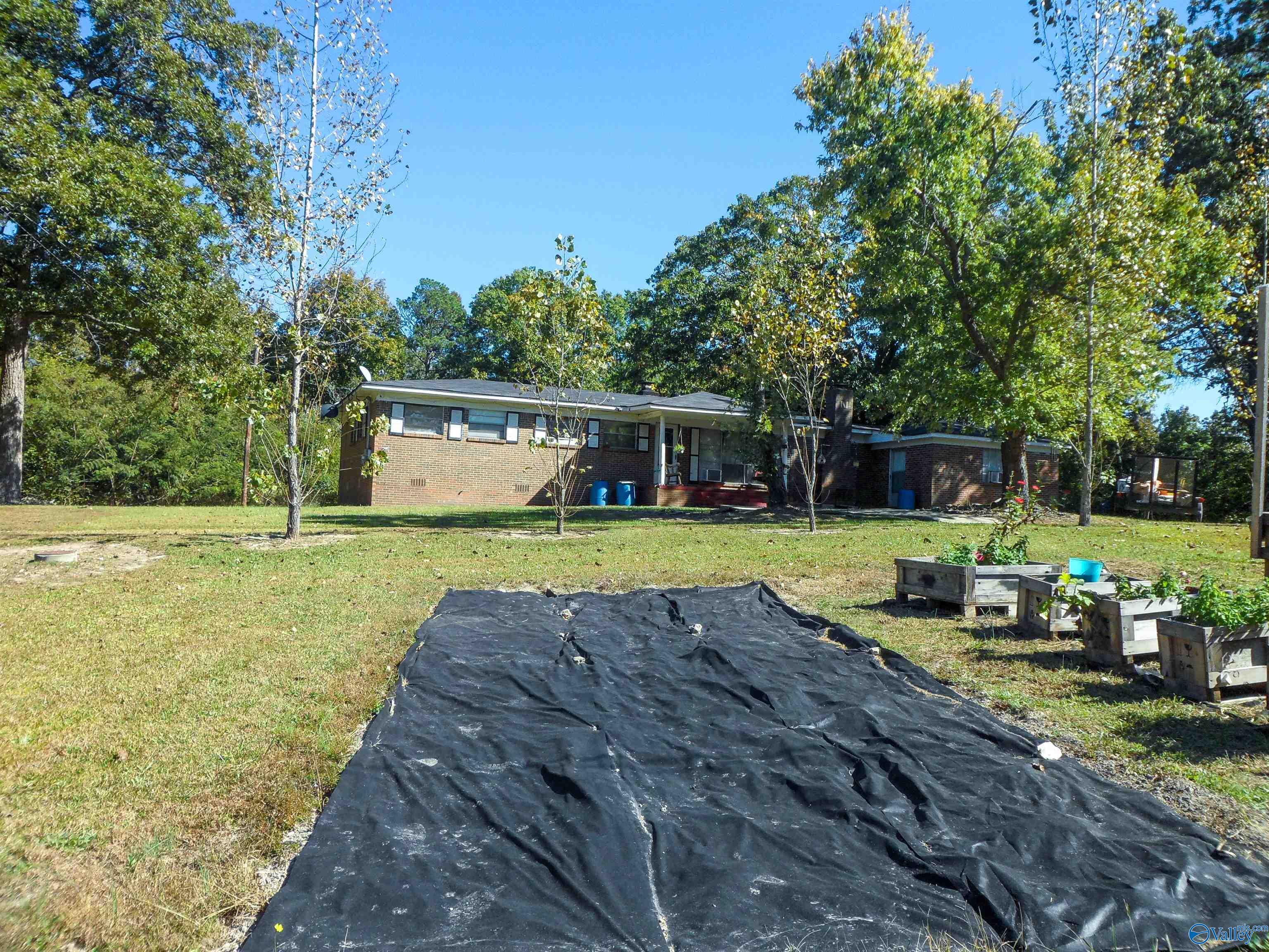 4729 Pitts Avenue, Anniston, Alabama image 5