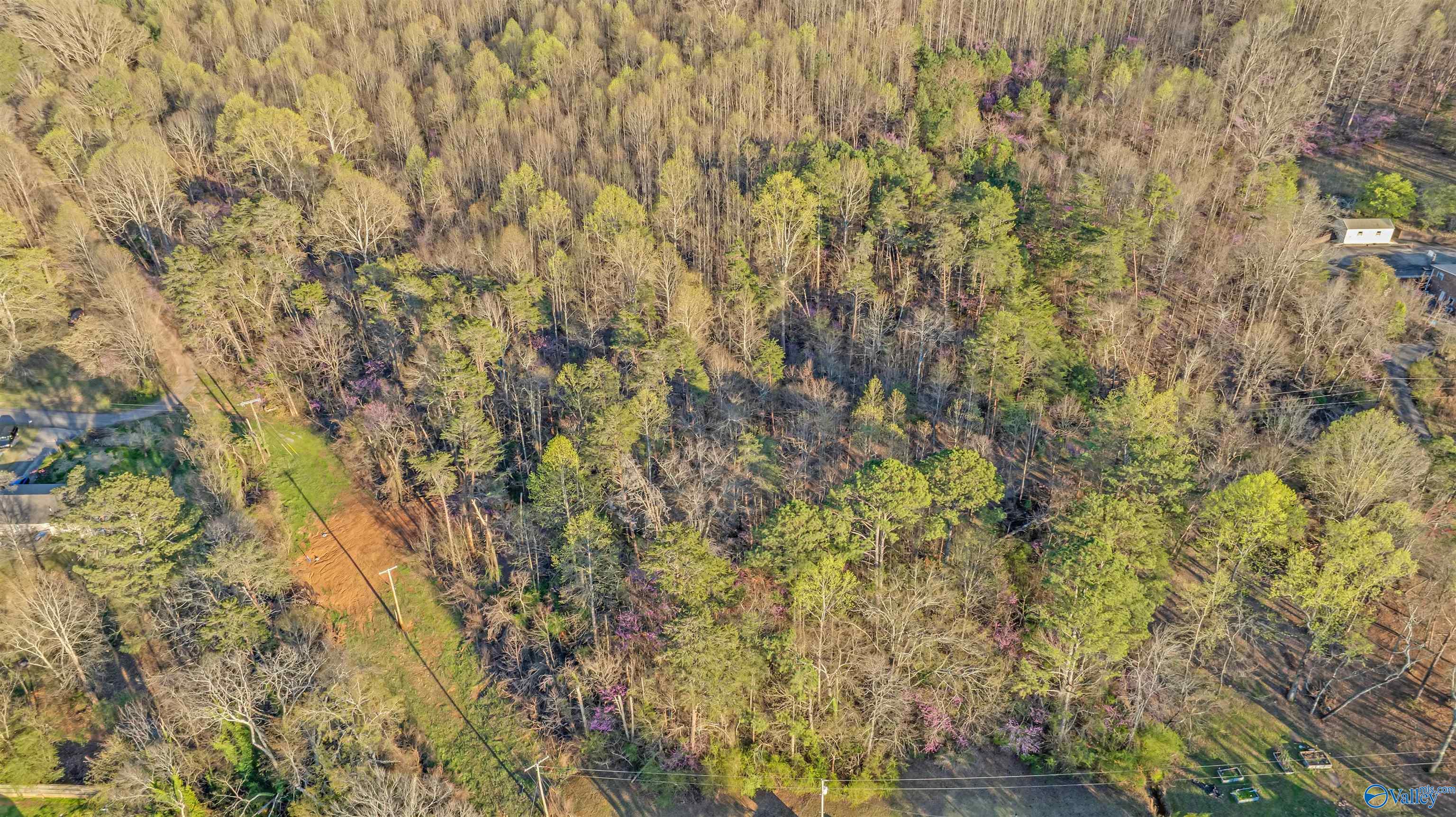 Lot 7 Martin Avenue, Fort Payne, Alabama image 7