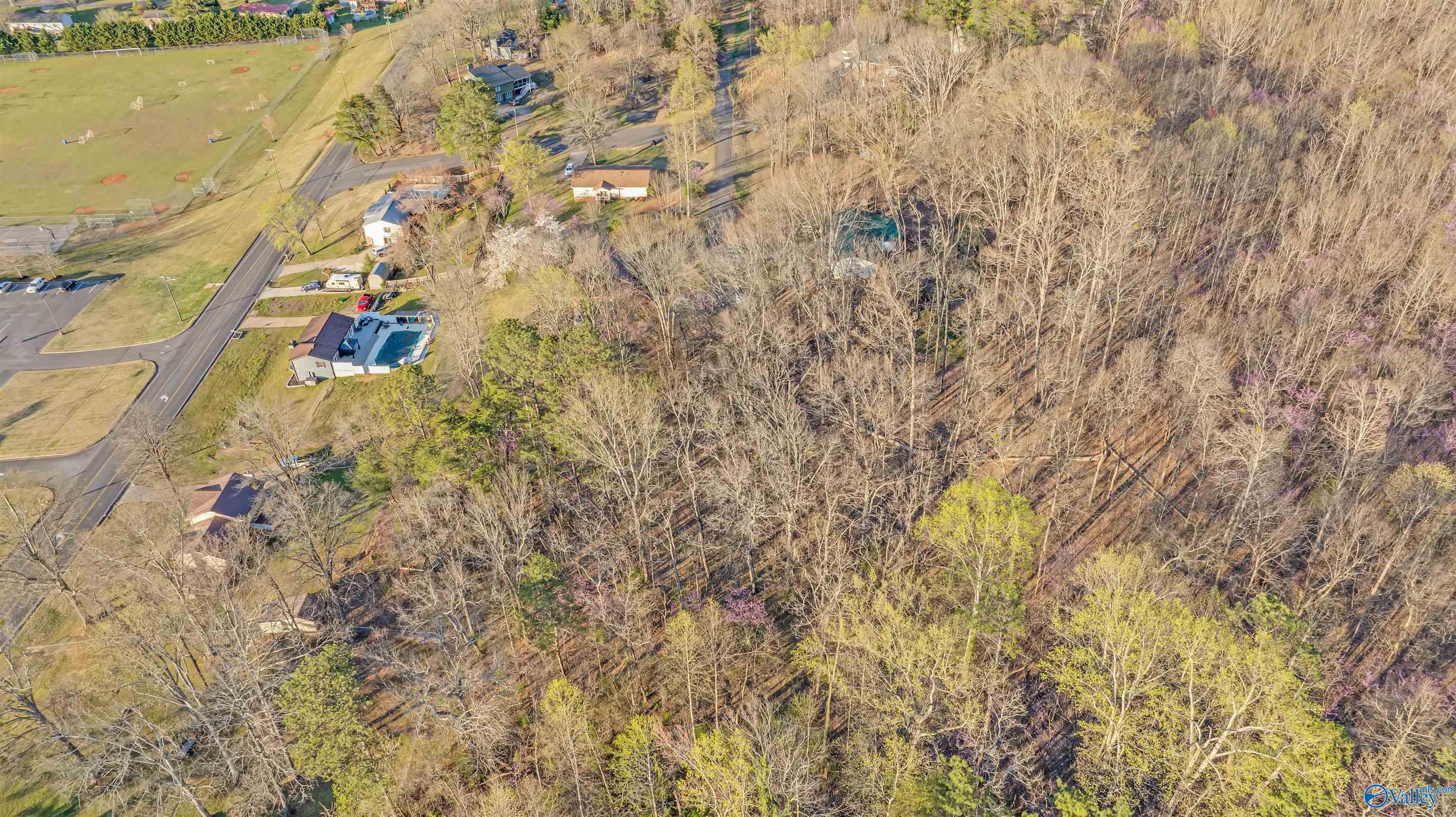 Lot 7 Martin Avenue, Fort Payne, Alabama image 4