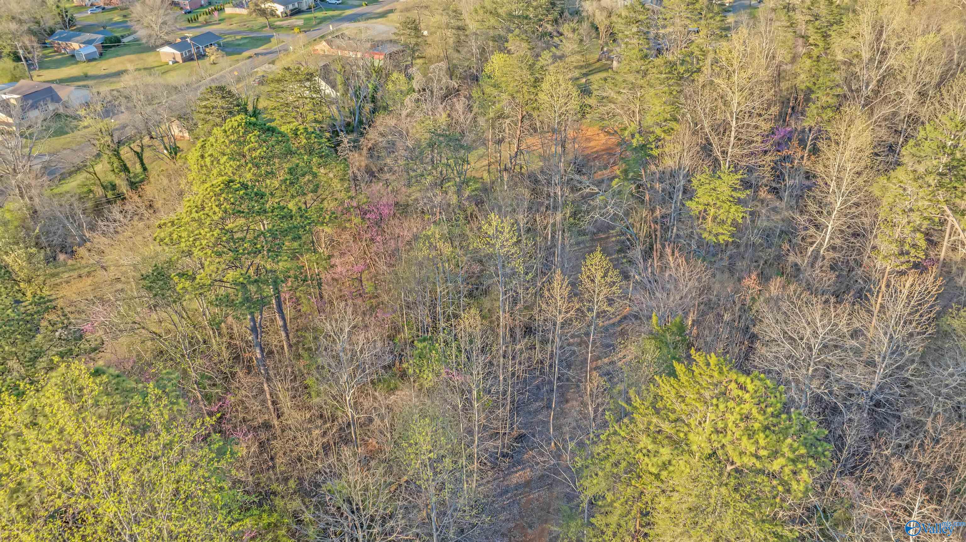 Lot 7 Martin Avenue, Fort Payne, Alabama image 13