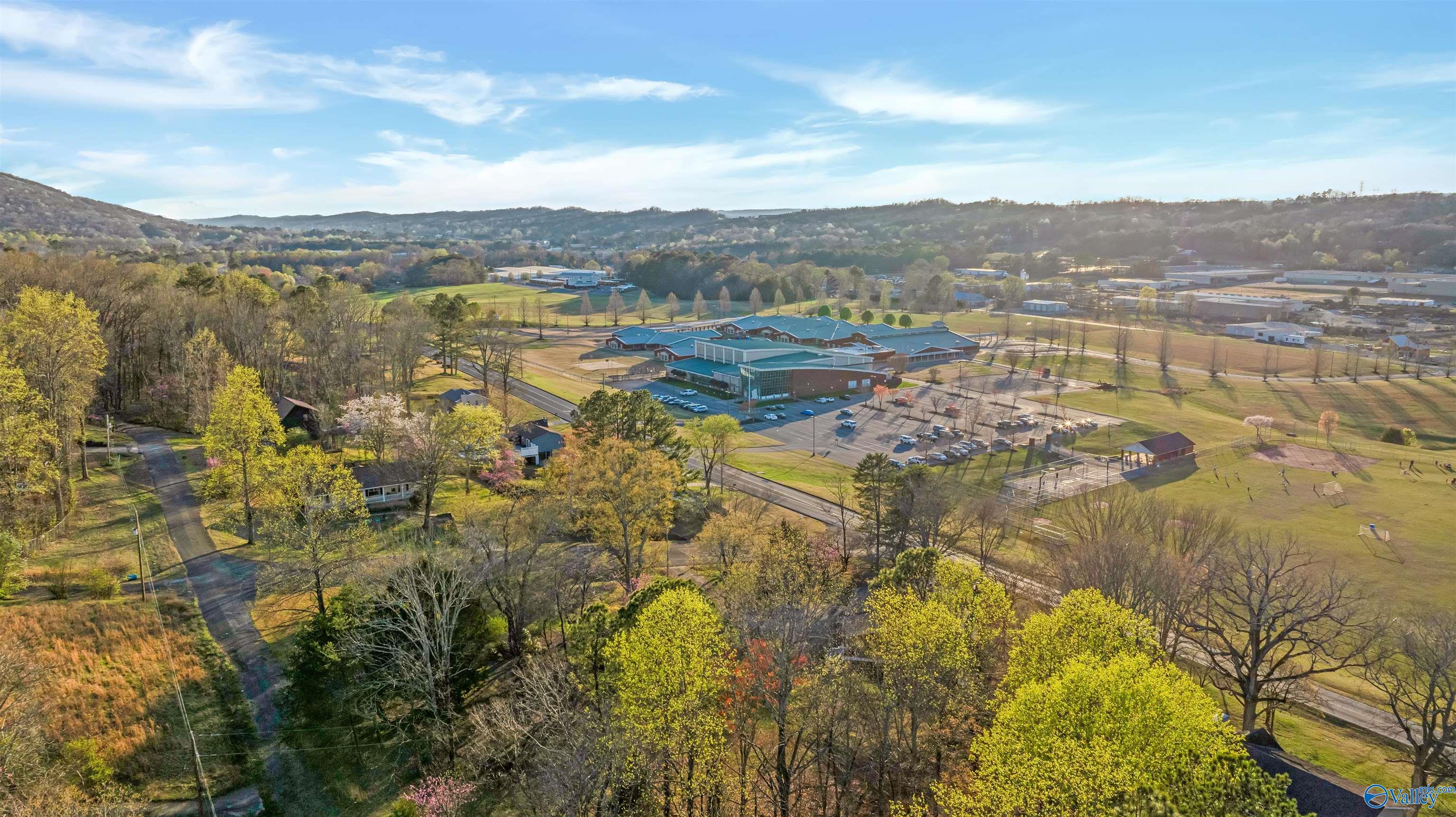 Lot 7 Martin Avenue, Fort Payne, Alabama image 14