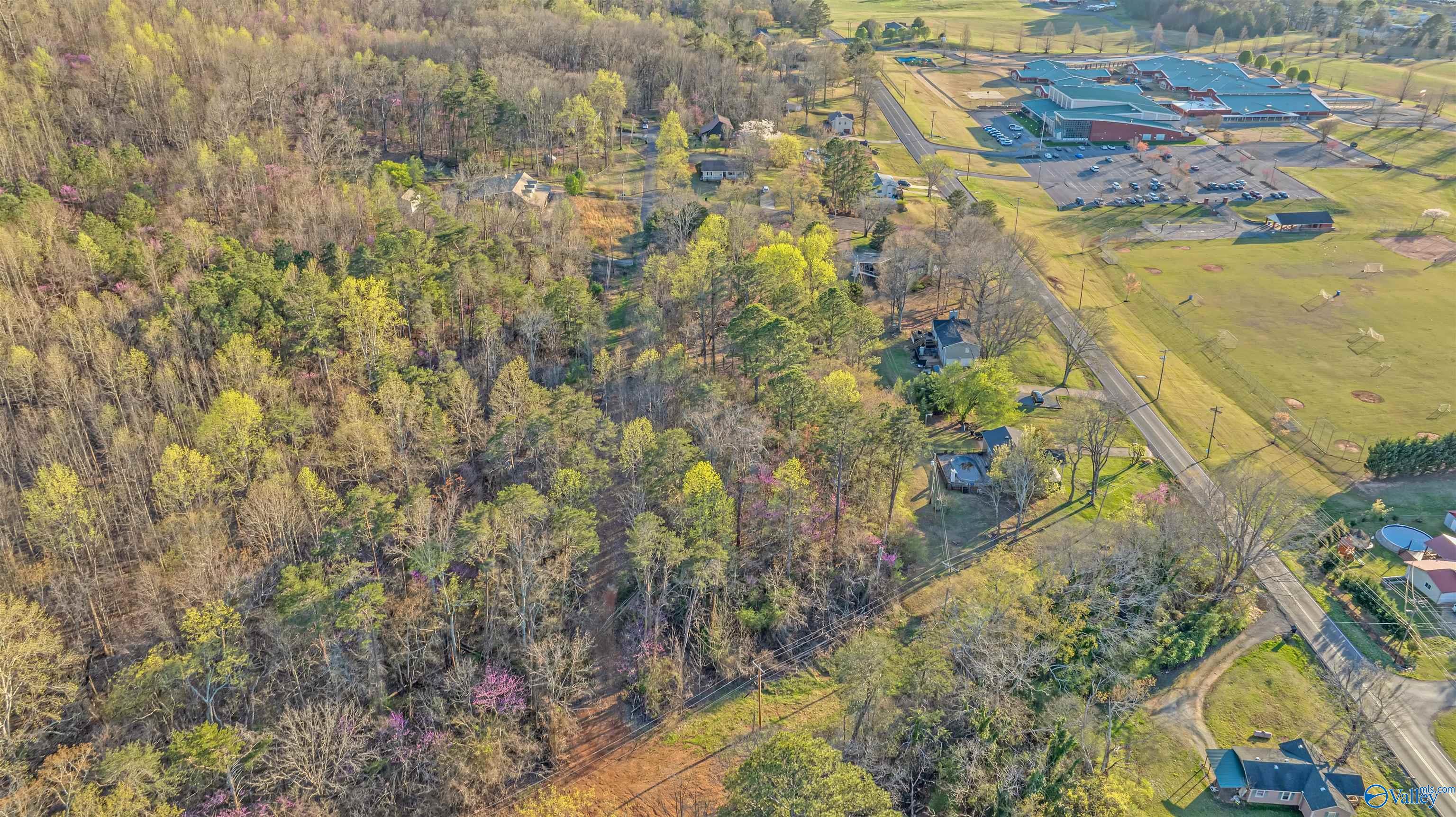 Lot 7 Martin Avenue, Fort Payne, Alabama image 8