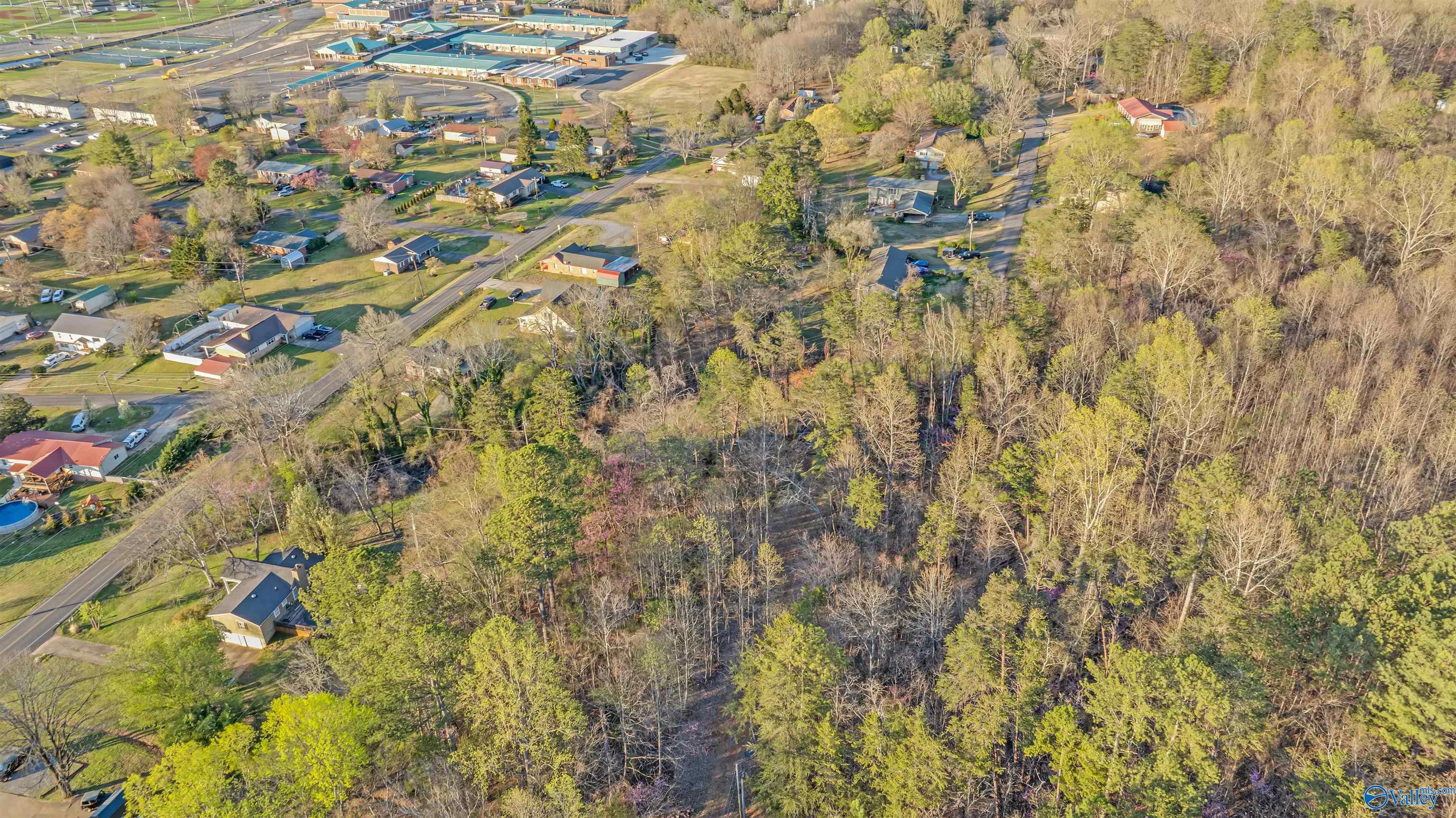 Lot 7 Martin Avenue, Fort Payne, Alabama image 10