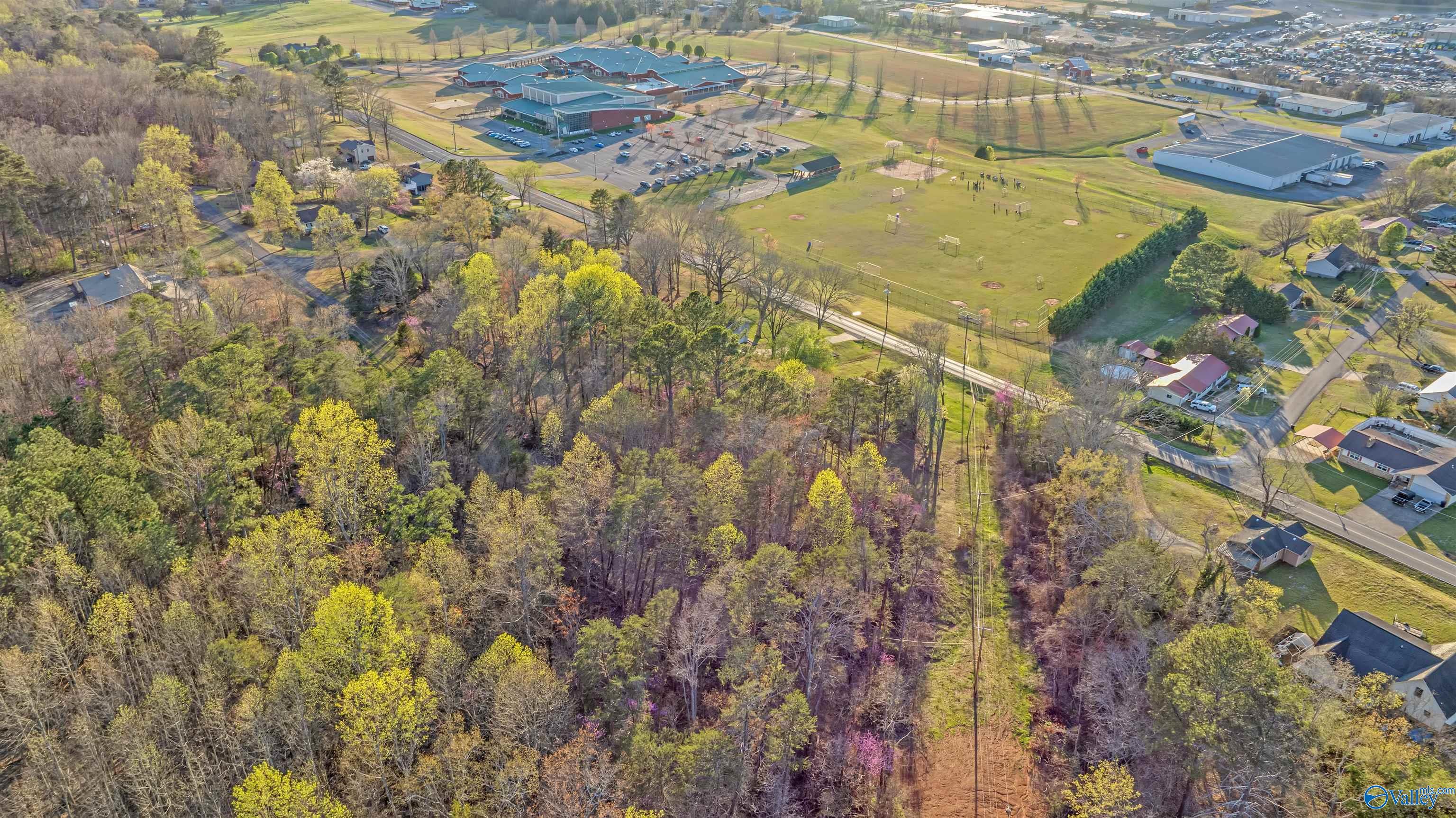 Lot 7 Martin Avenue, Fort Payne, Alabama image 9