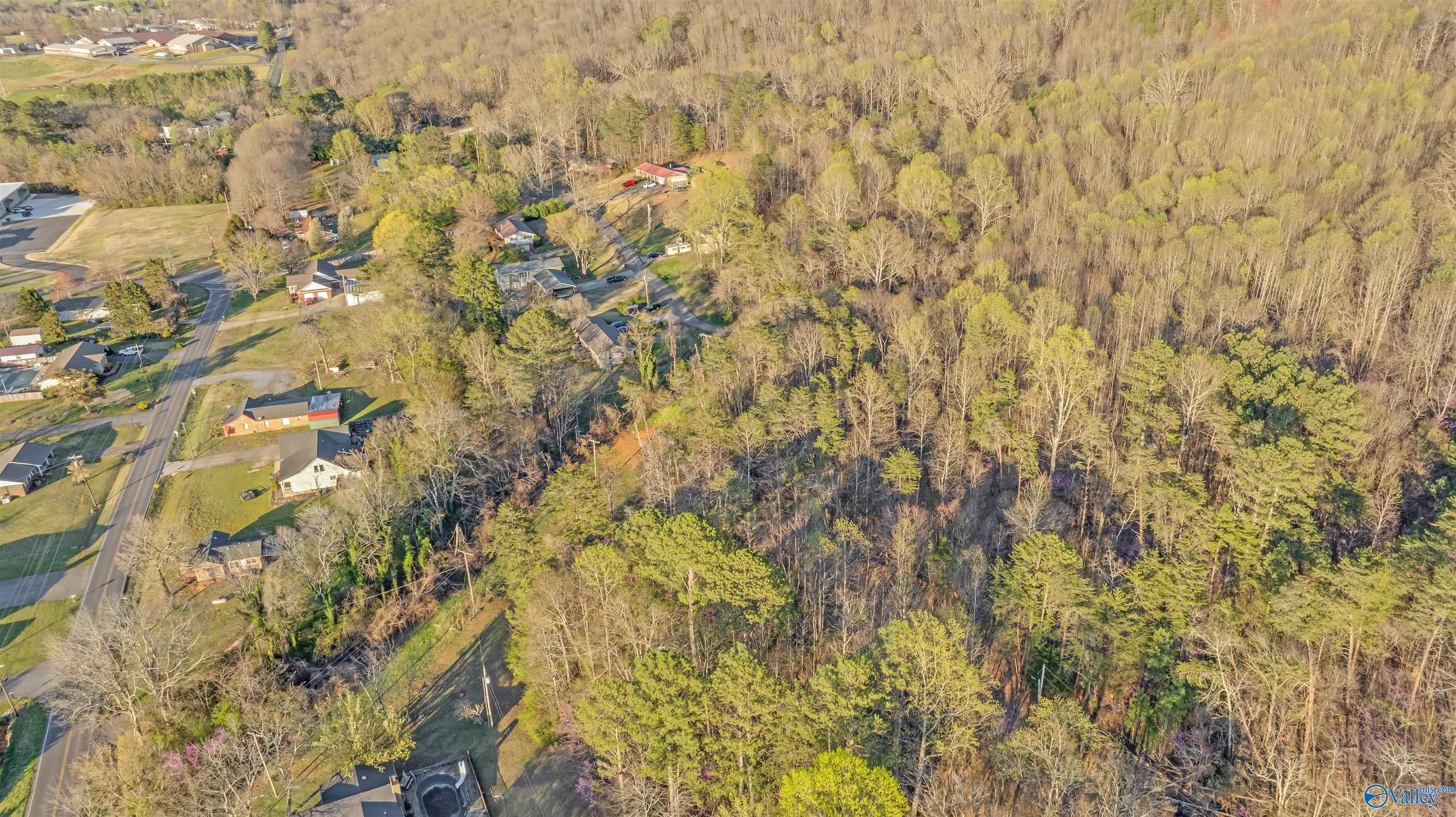 Lot 7 Martin Avenue, Fort Payne, Alabama image 12