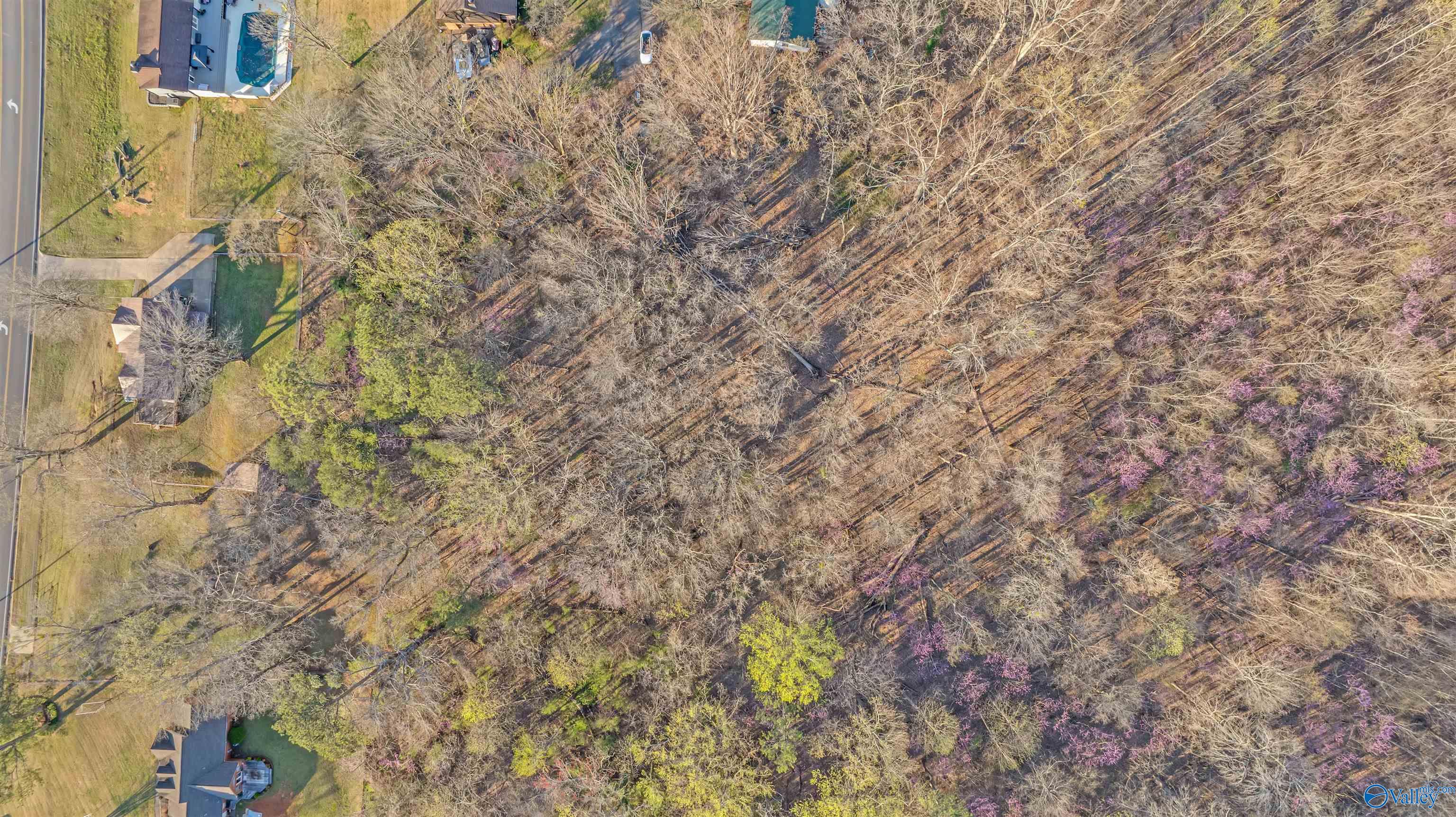 Lot 7 Martin Avenue, Fort Payne, Alabama image 5