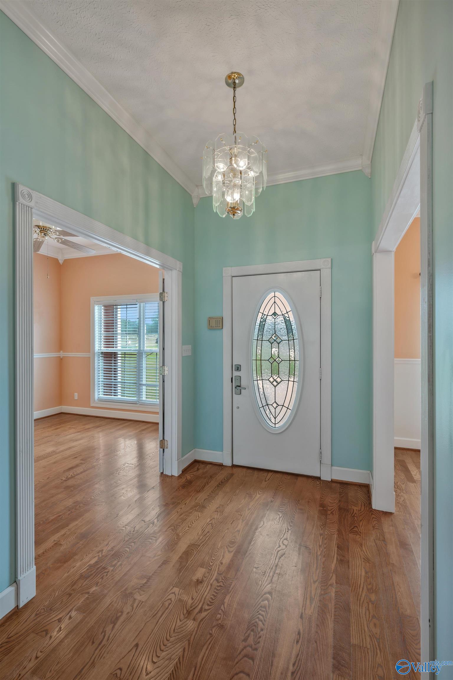 214 Travel Path, Rogersville, Alabama image 6